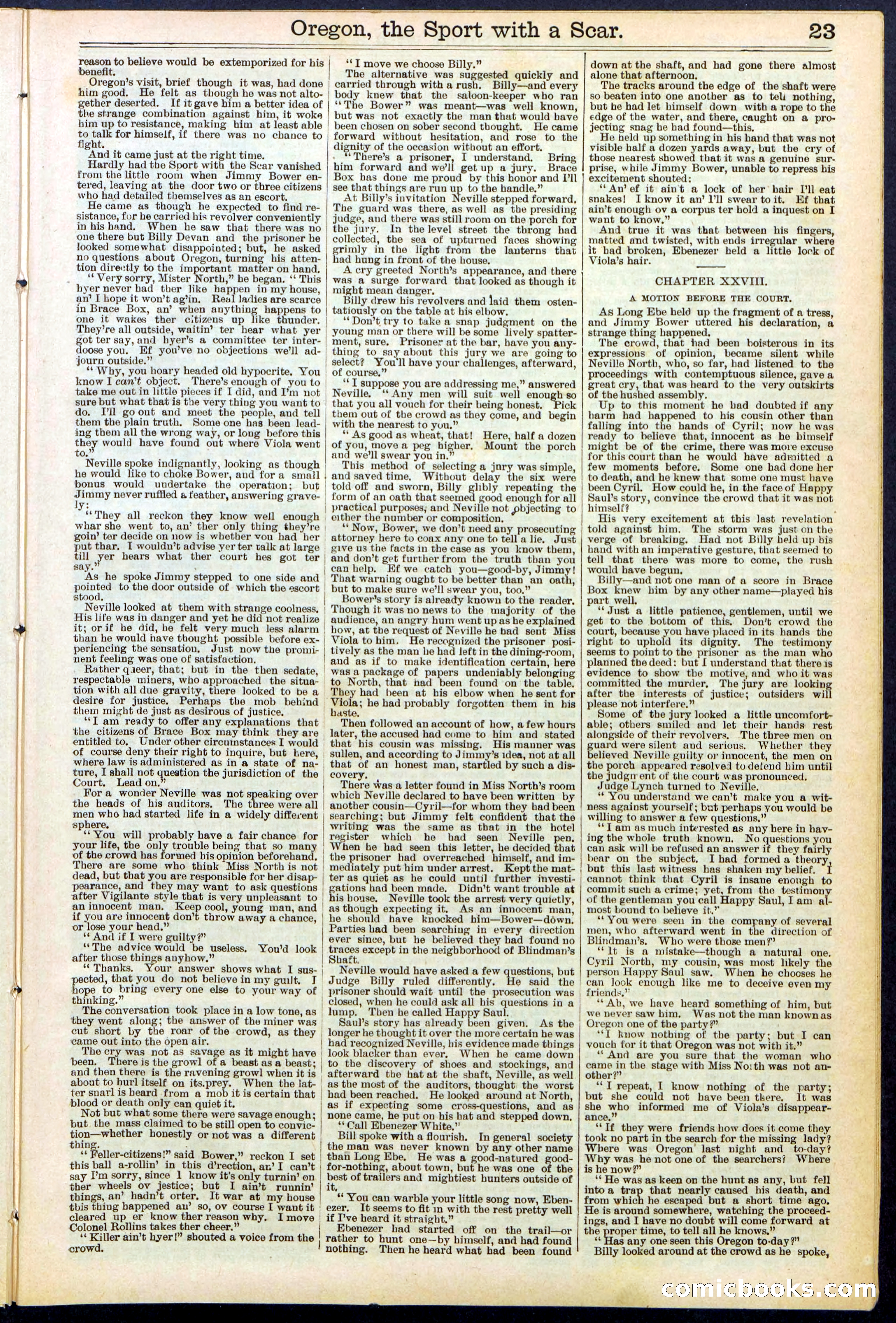Beadle's New York Dime Library No. 533 — page 23 of 32