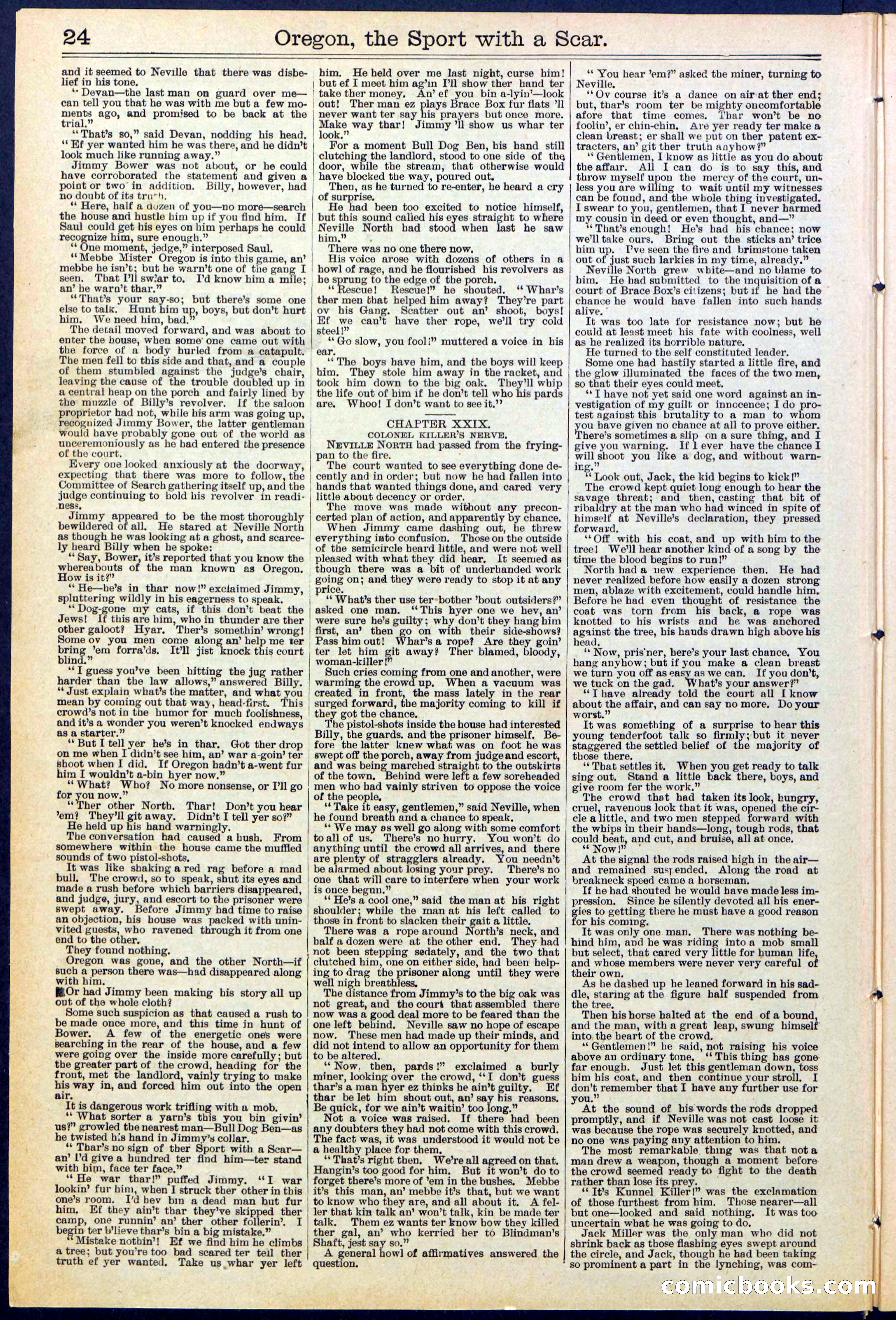 Beadle's New York Dime Library No. 533 — page 24 of 32