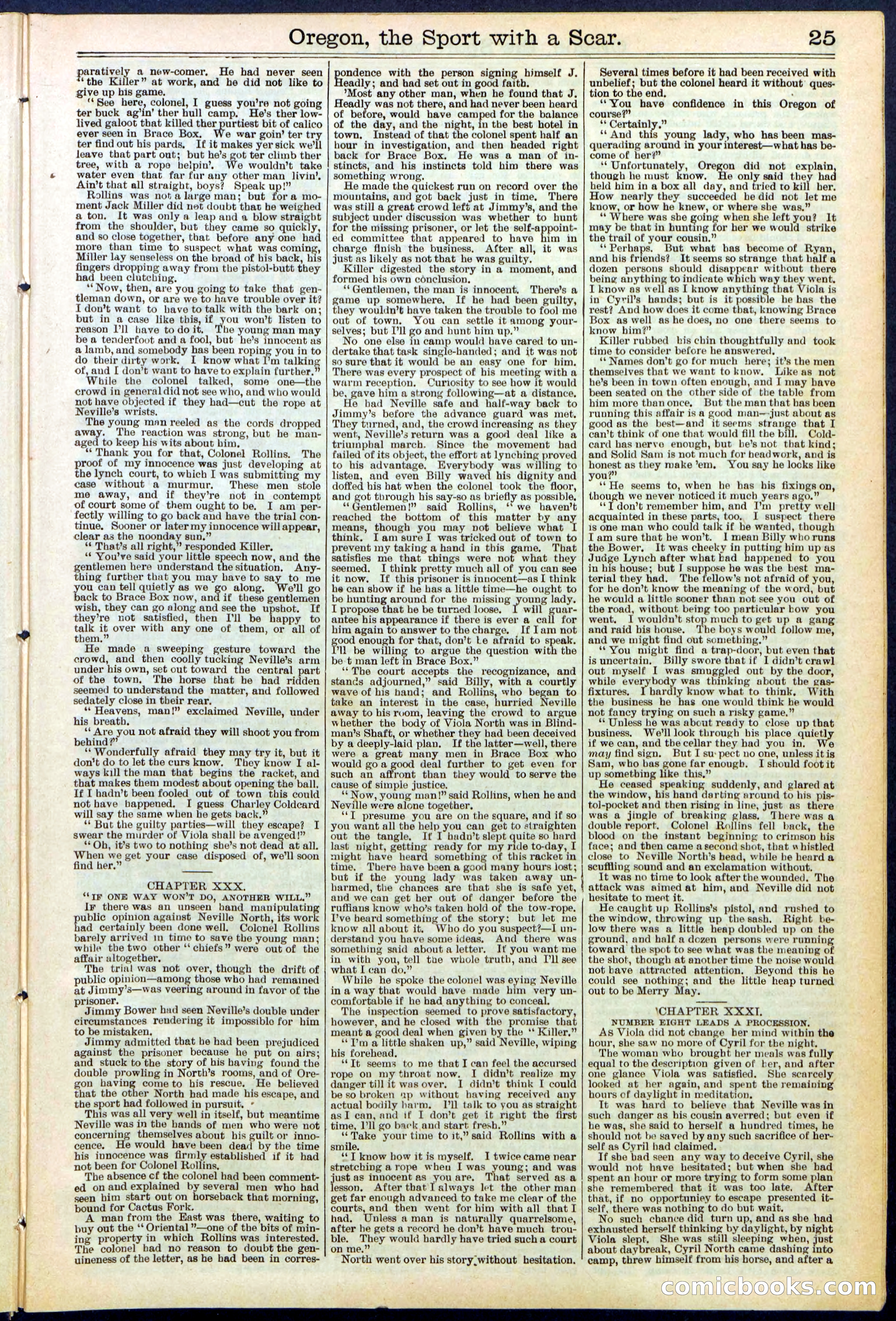 Beadle's New York Dime Library No. 533 — page 25 of 32