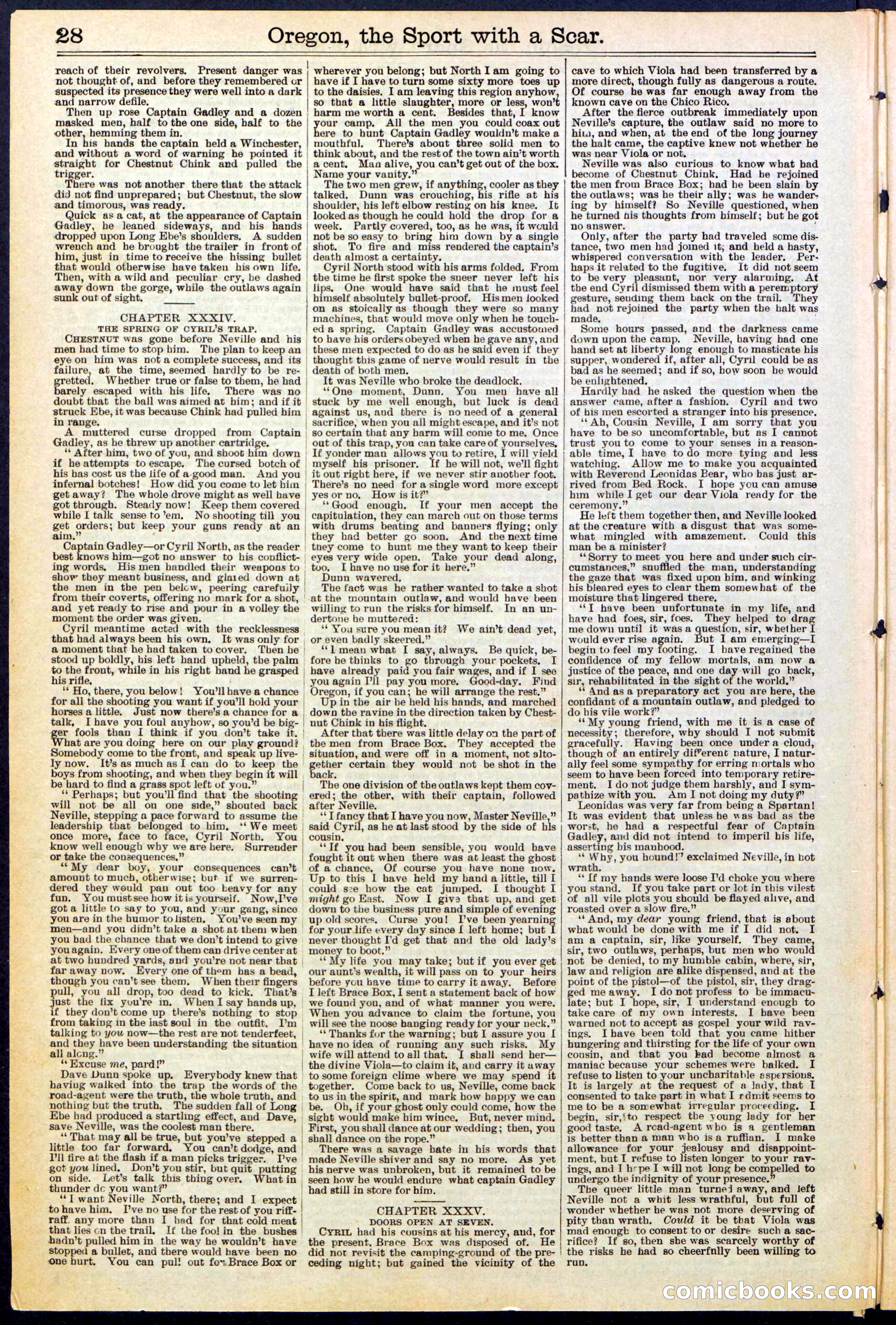 Beadle's New York Dime Library No. 533 — page 28 of 32