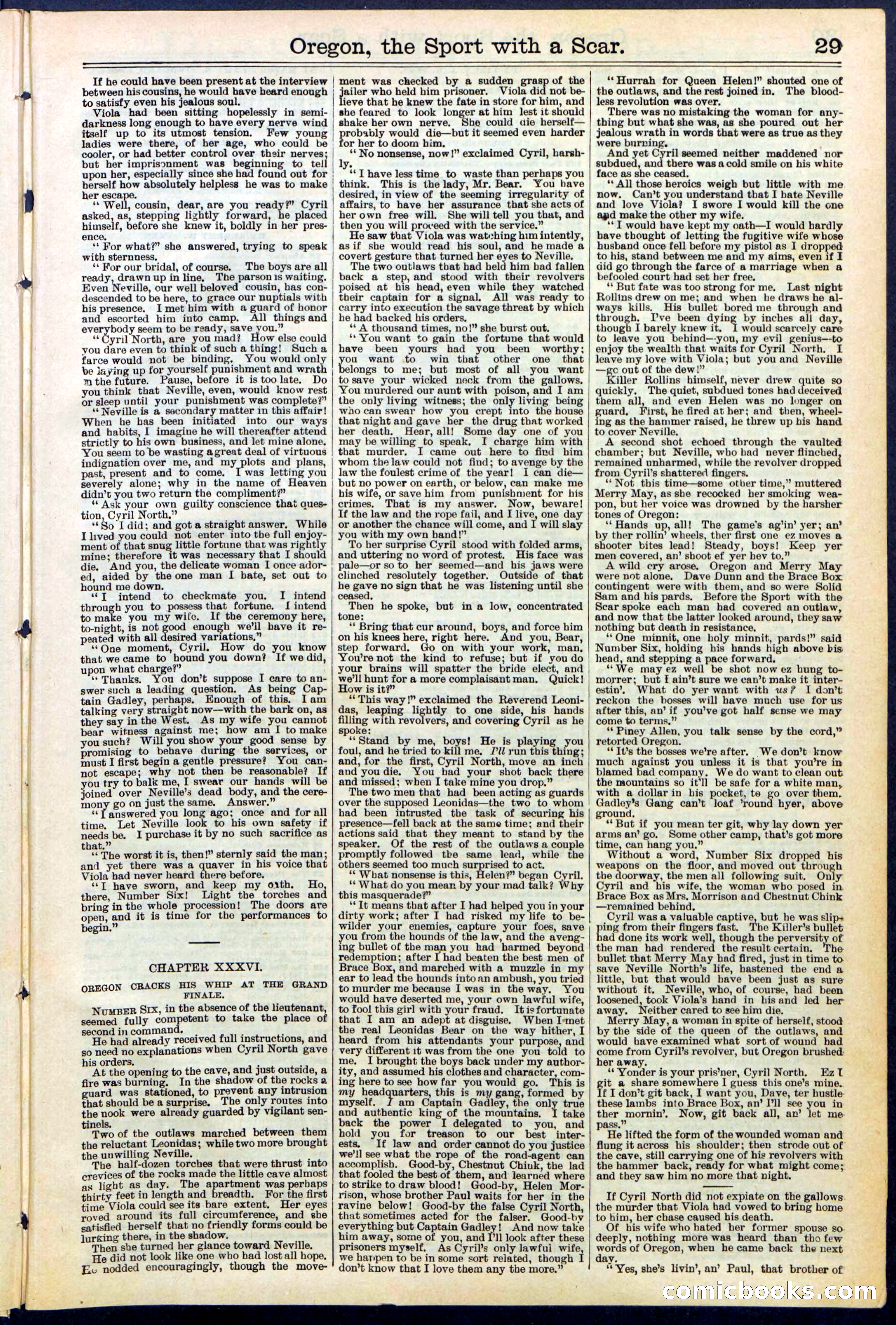 Beadle's New York Dime Library No. 533 — page 29 of 32