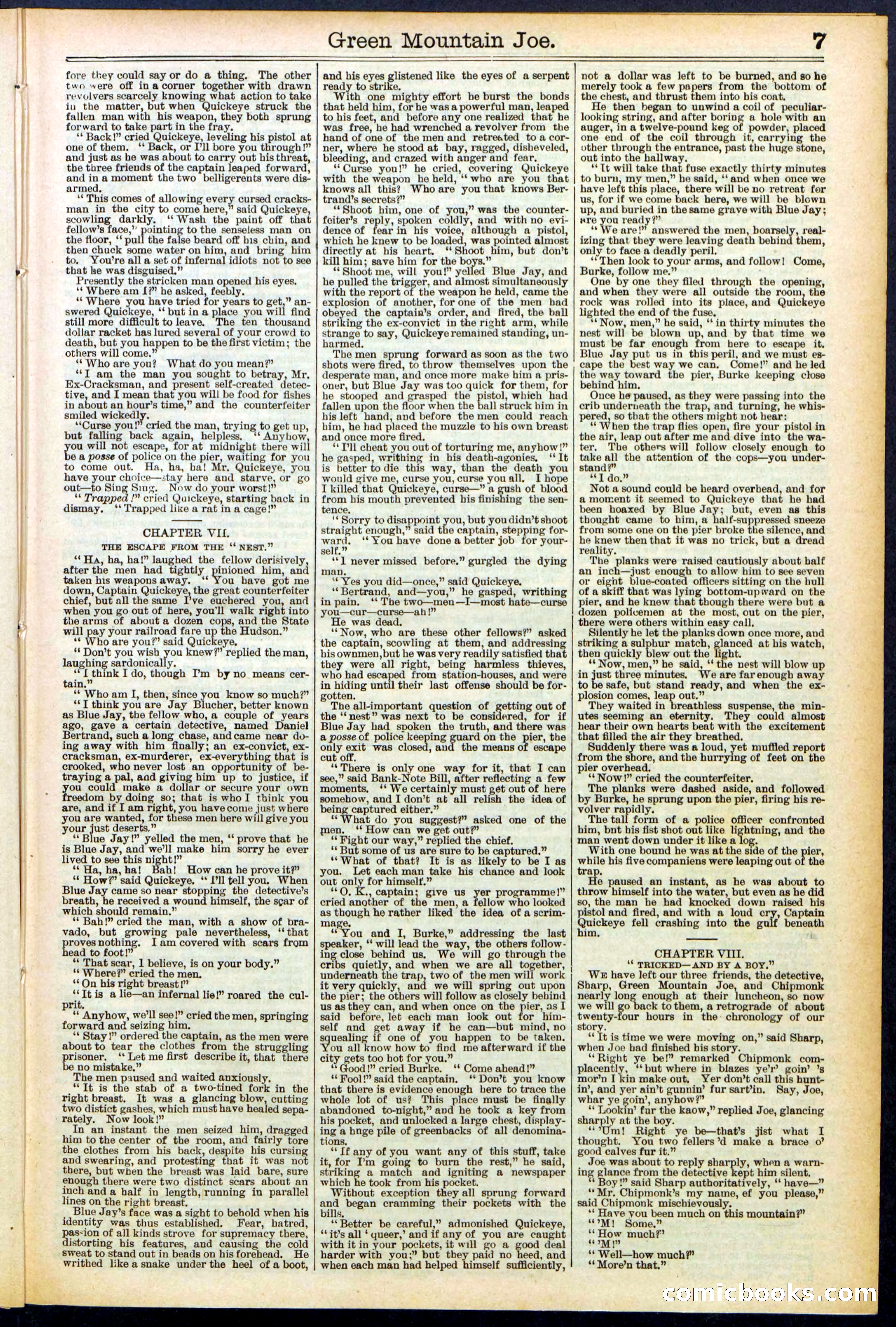 Beadle's New York Dime Library No. 534 — page 7 of 32