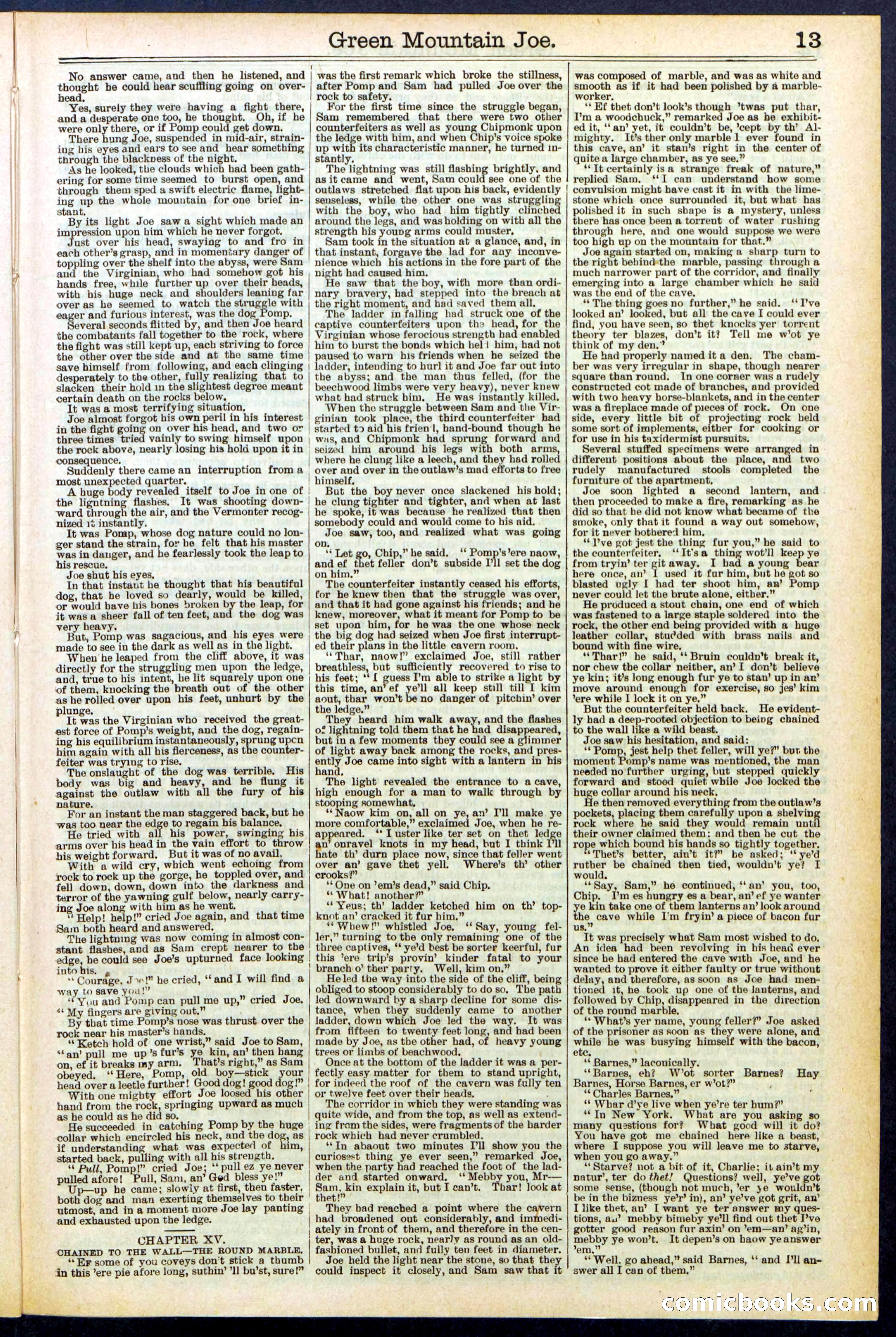 Beadle's New York Dime Library No. 534 — page 13 of 32