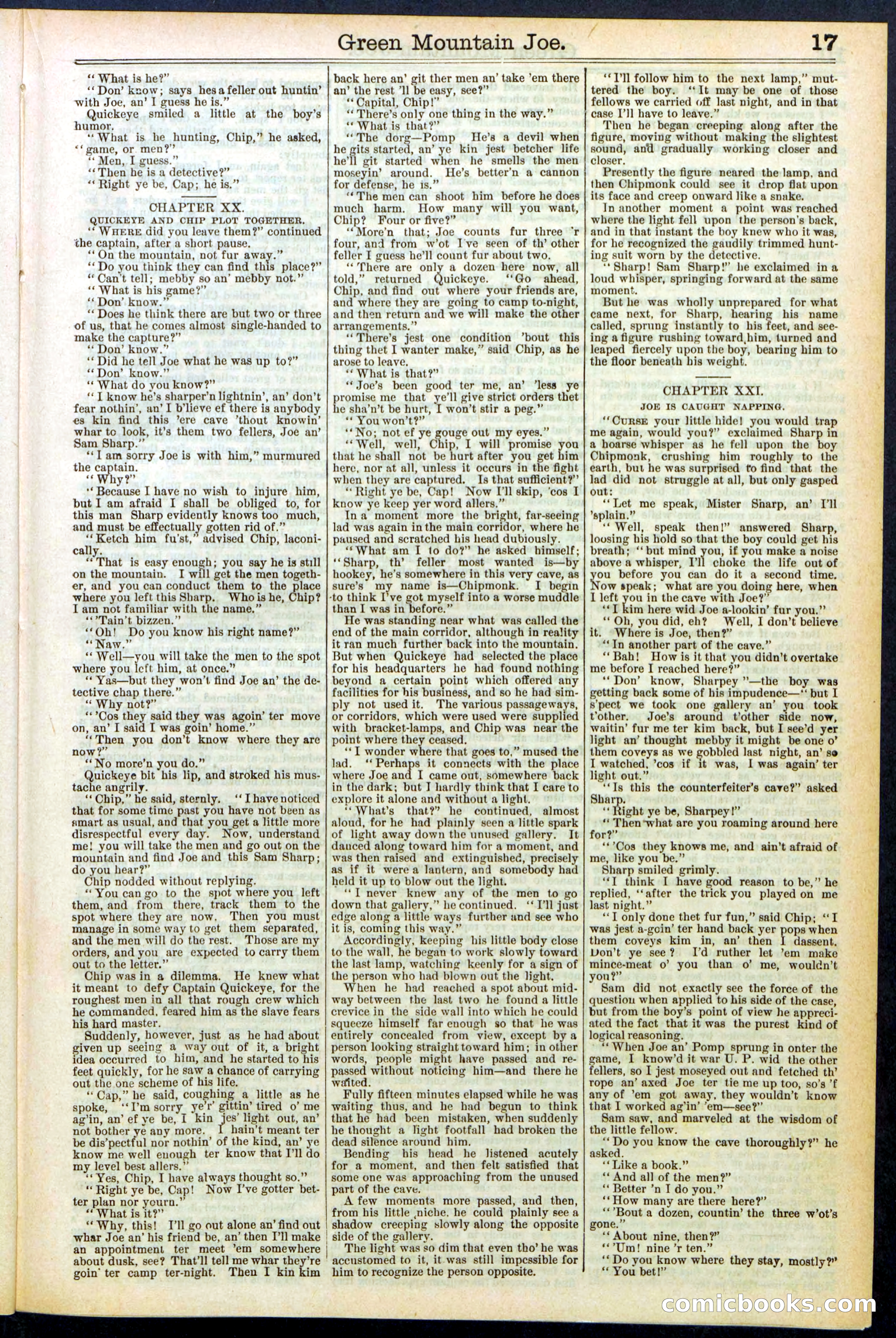 Beadle's New York Dime Library No. 534 — page 17 of 32