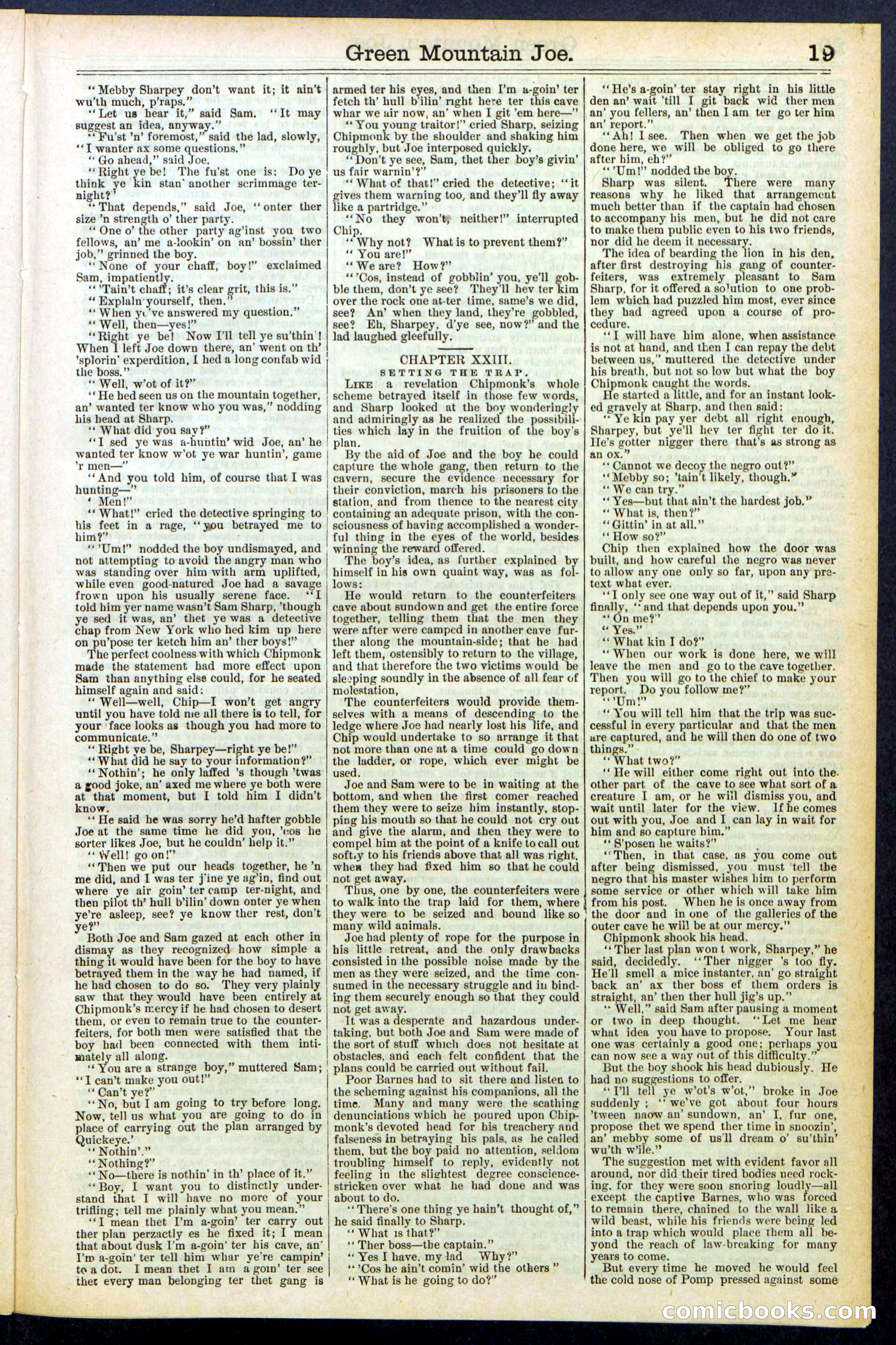 Beadle's New York Dime Library No. 534 — page 19 of 32