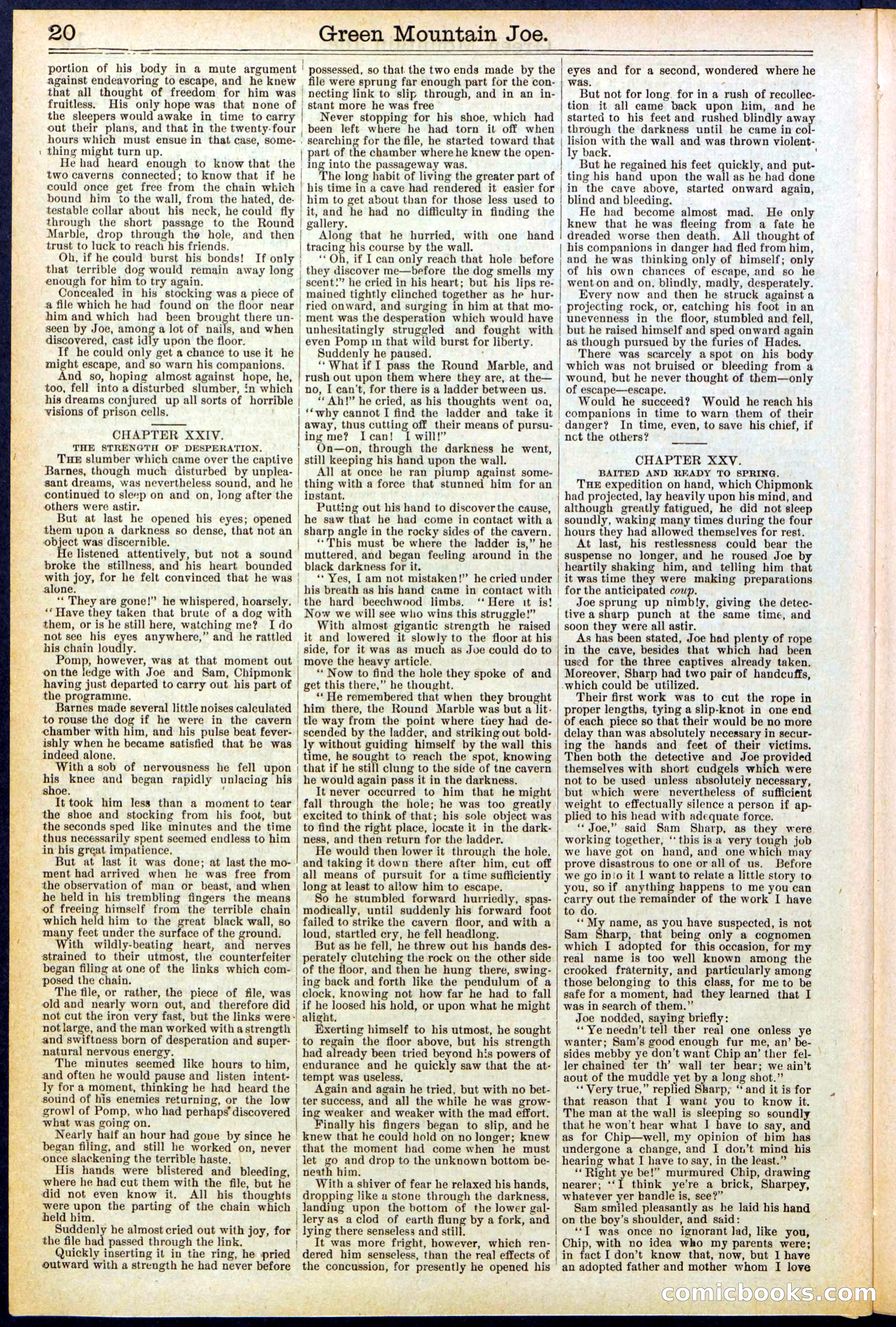 Beadle's New York Dime Library No. 534 — page 20 of 32