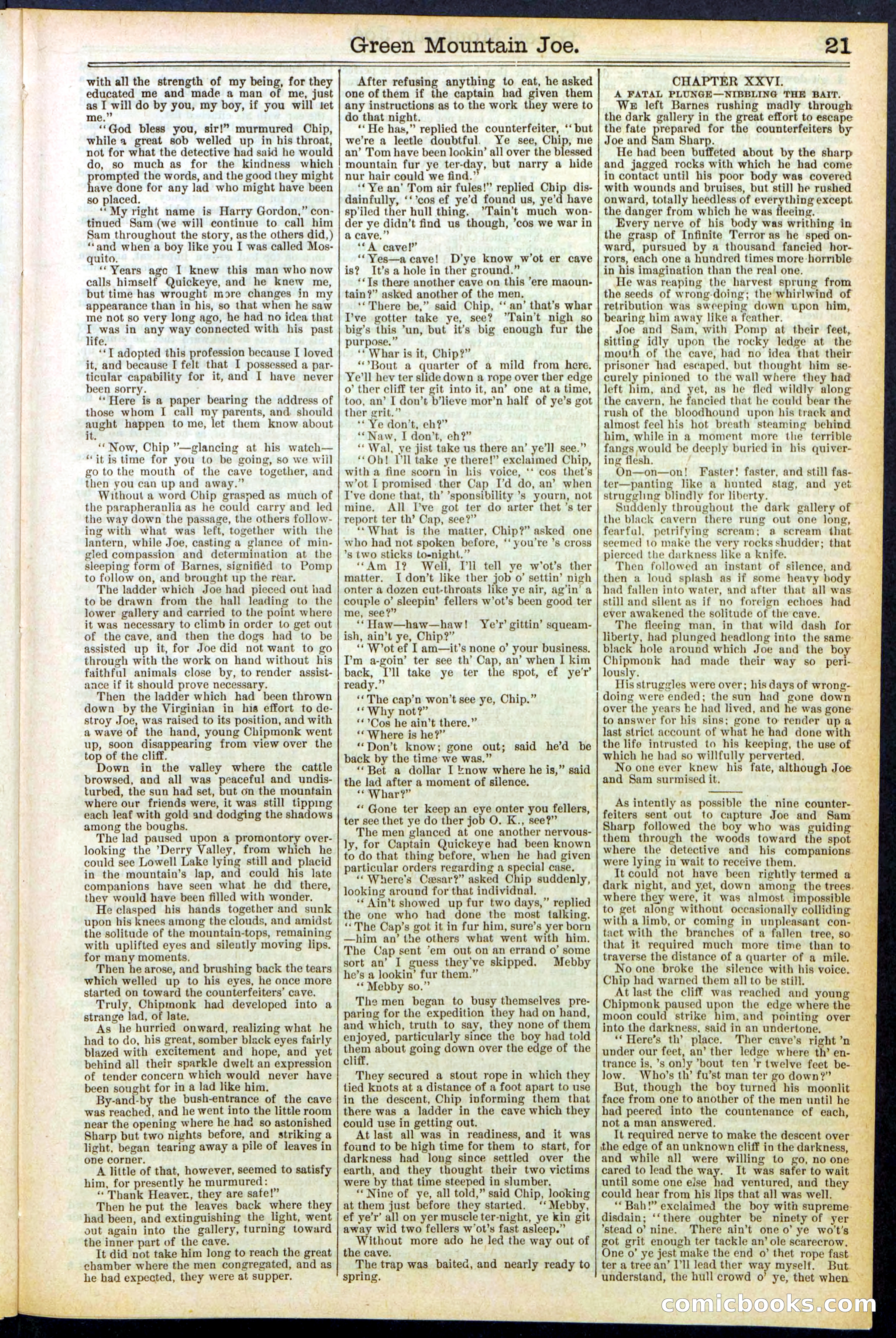 Beadle's New York Dime Library No. 534 — page 21 of 32