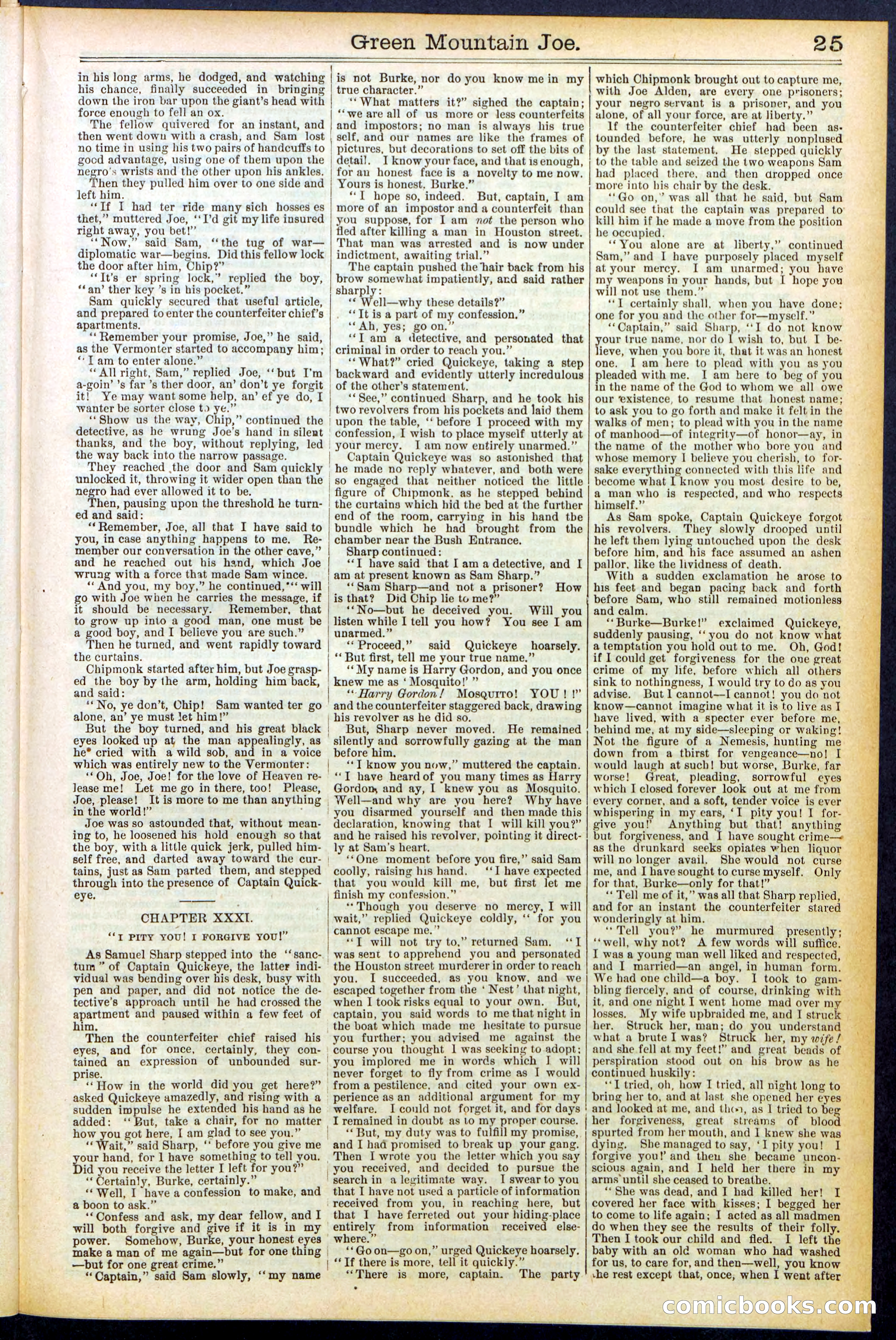 Beadle's New York Dime Library No. 534 — page 25 of 32