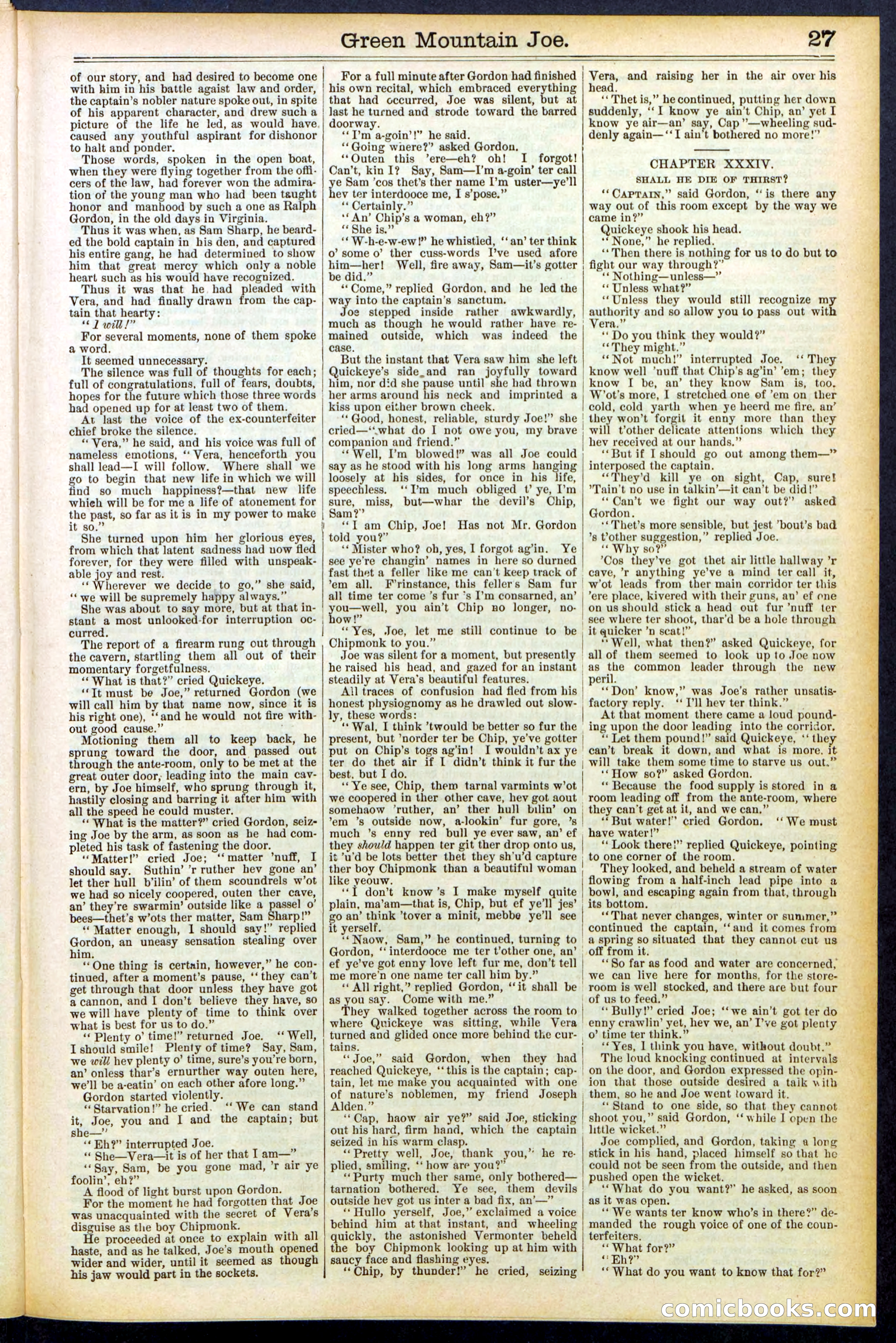 Beadle's New York Dime Library No. 534 — page 27 of 32