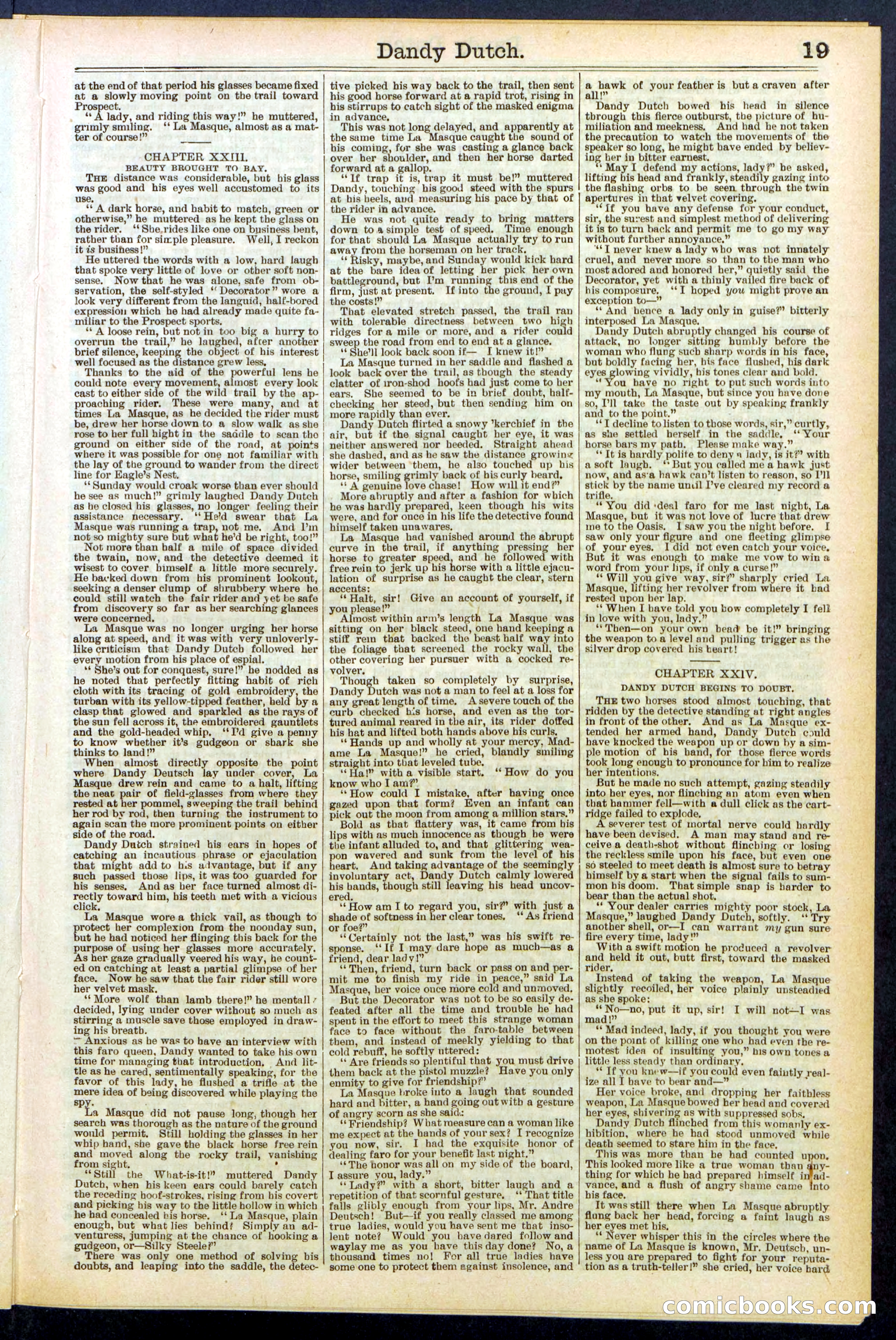 Beadle's New York Dime Library, No. 535 — page 19 of 32