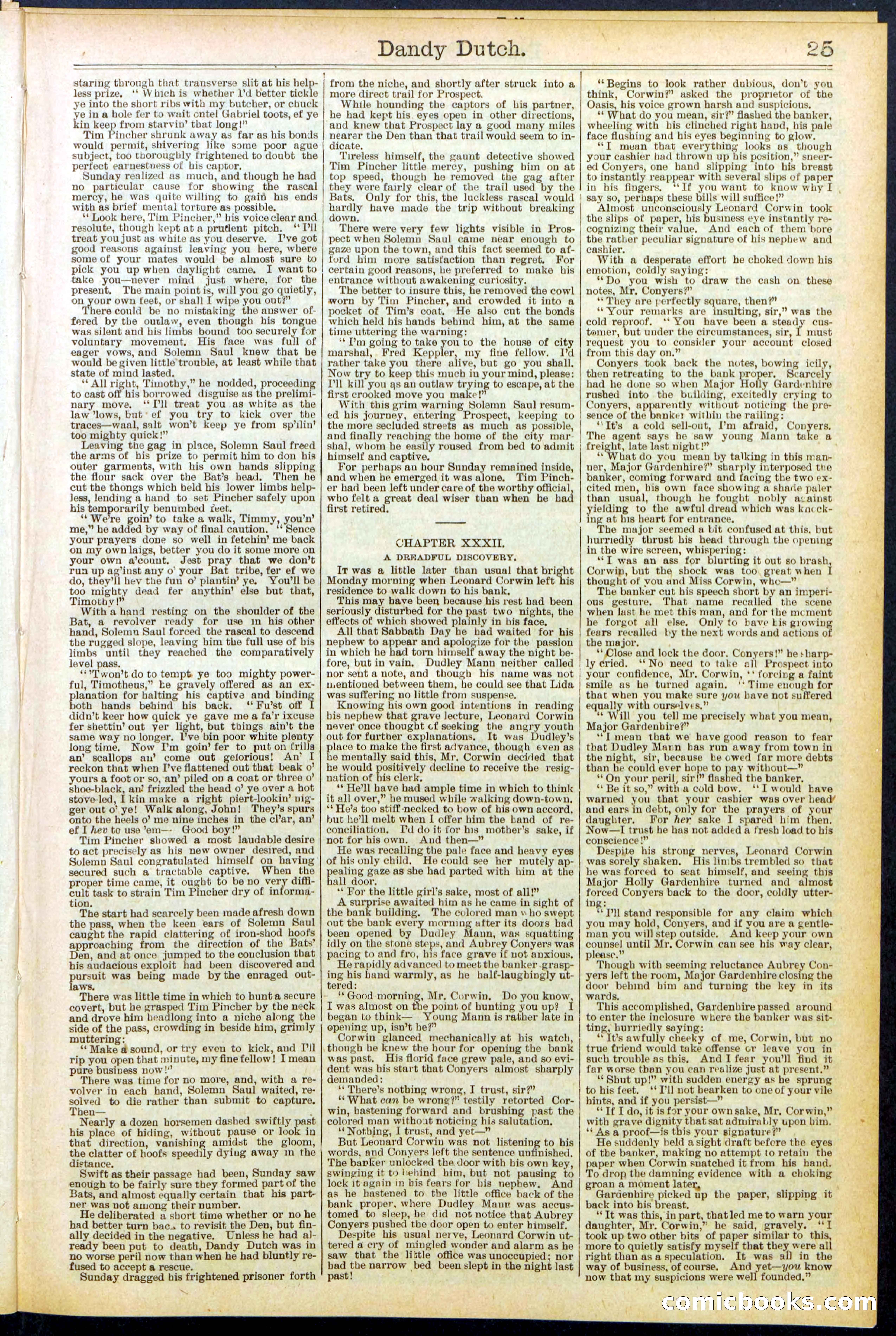 Beadle's New York Dime Library, No. 535 — page 25 of 32