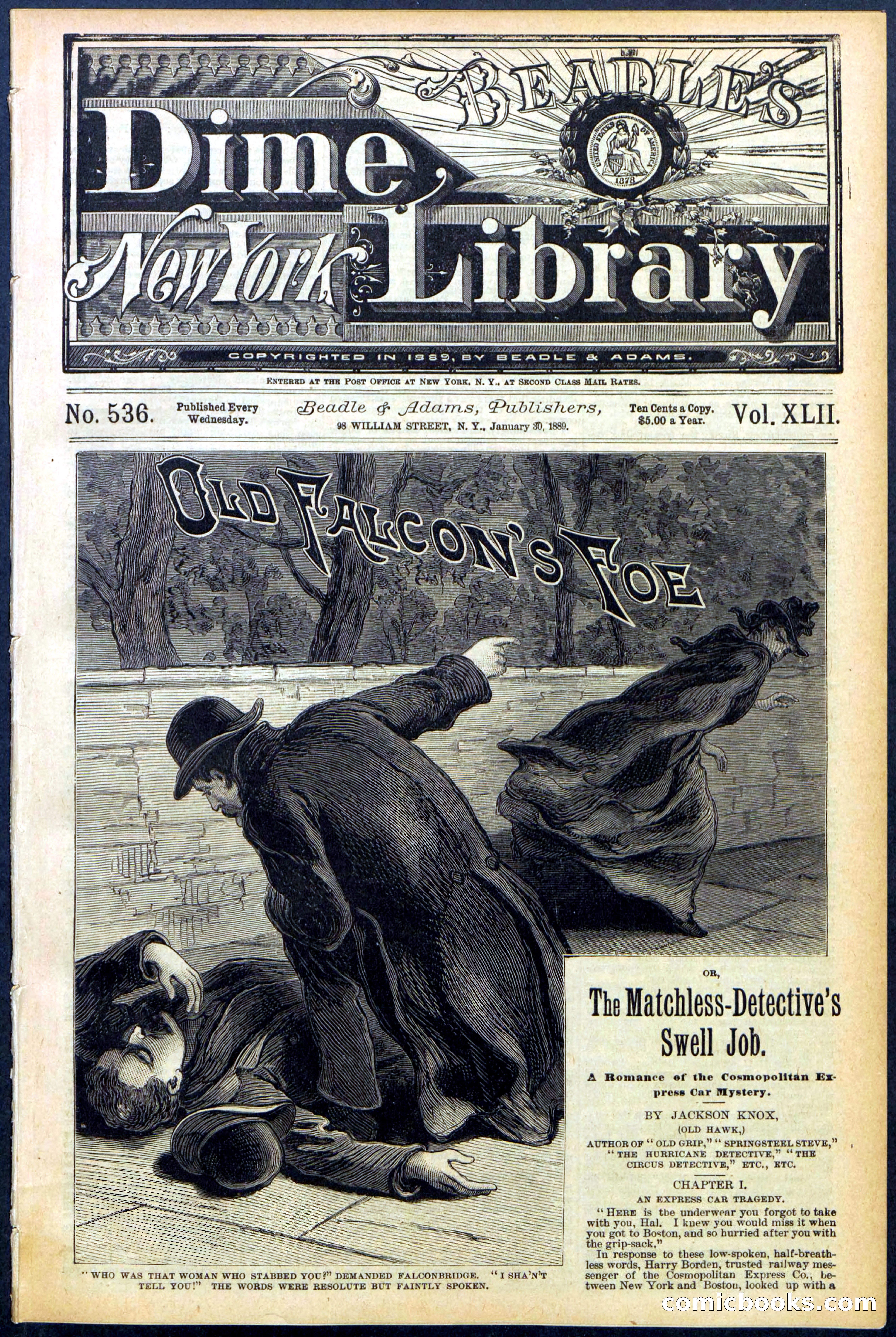 Beadle's New York Dime Library No. 536 — page 1 of 32