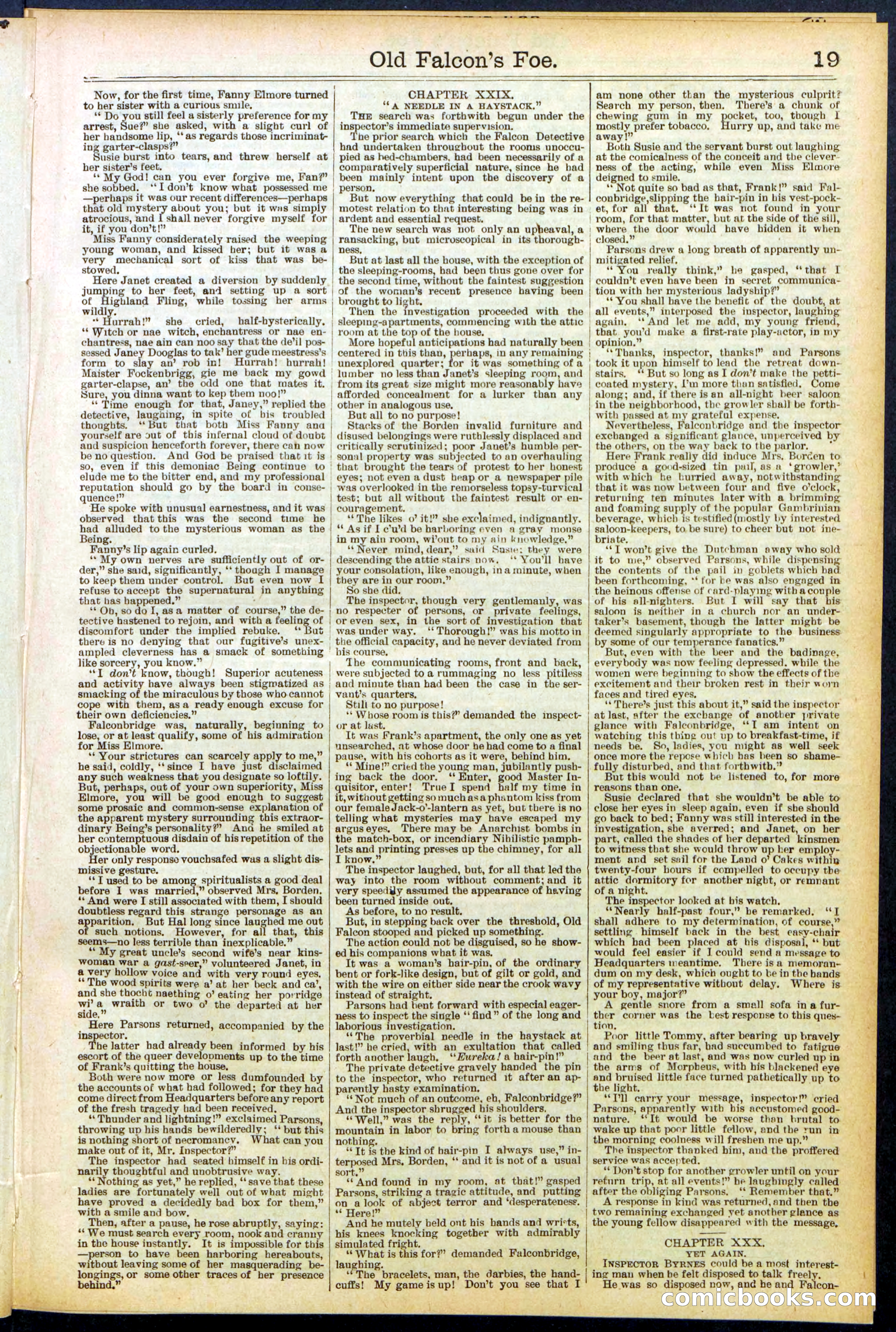 Beadle's New York Dime Library No. 536 — page 19 of 32