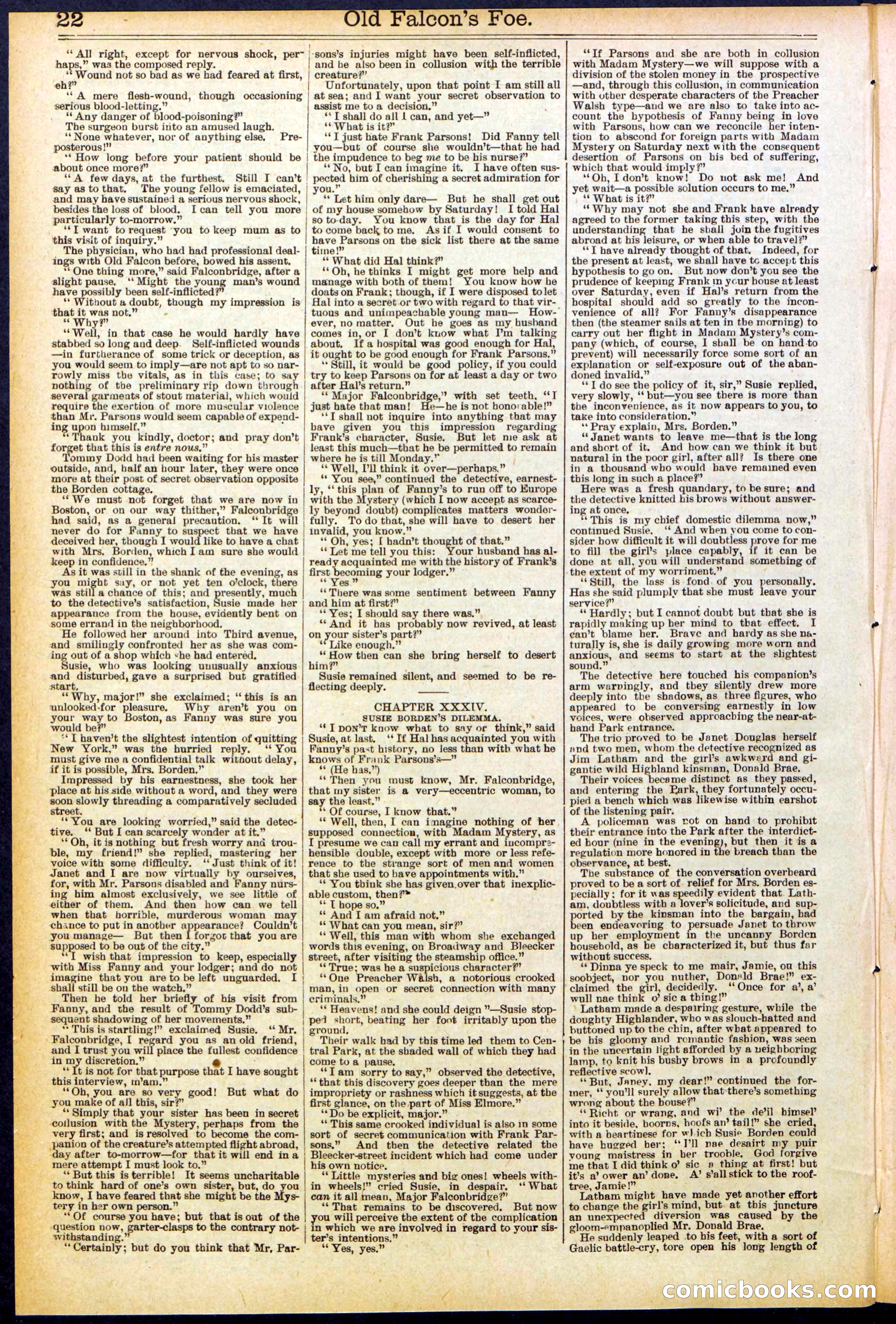 Beadle's New York Dime Library No. 536 — page 22 of 32