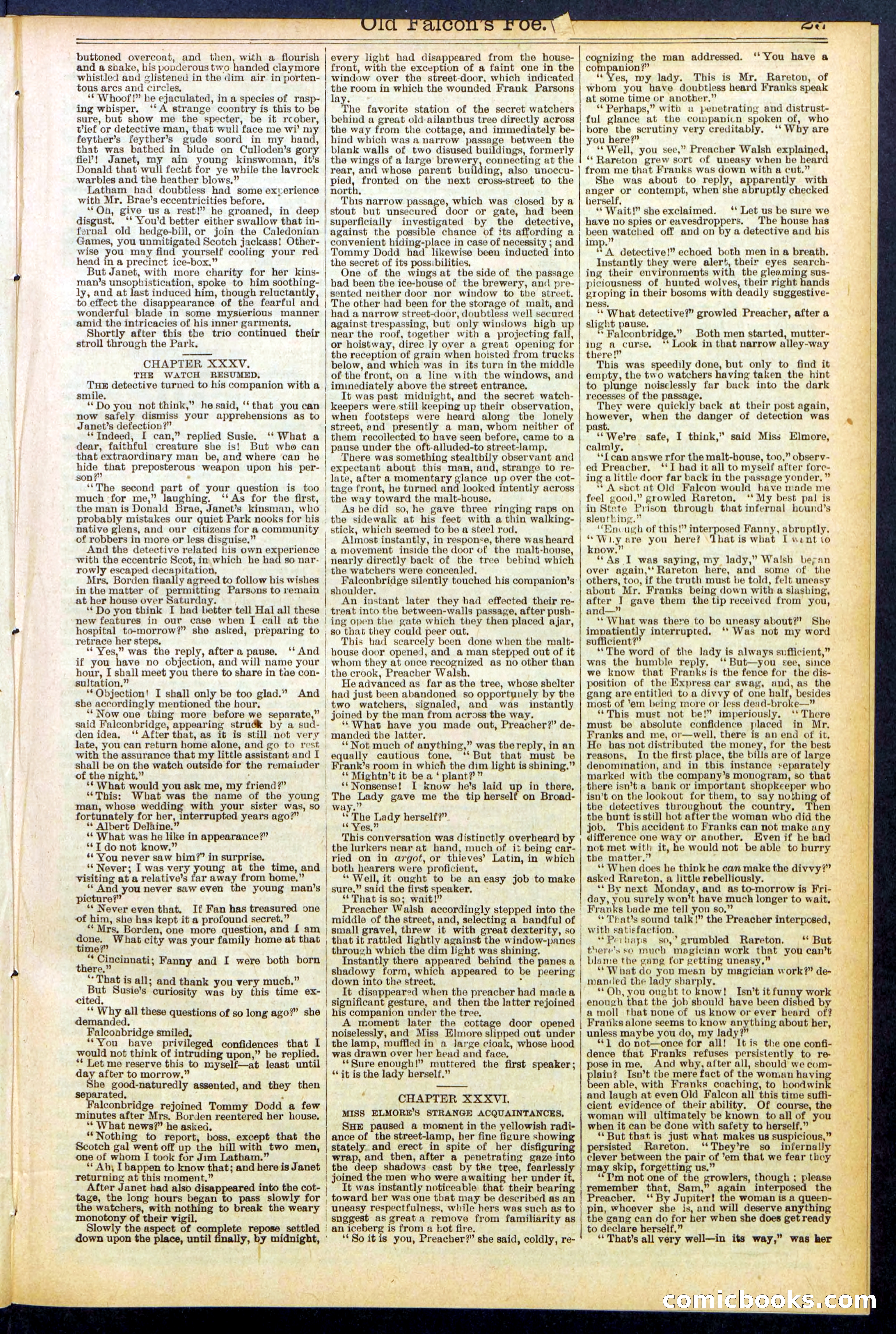 Beadle's New York Dime Library No. 536 — page 23 of 32