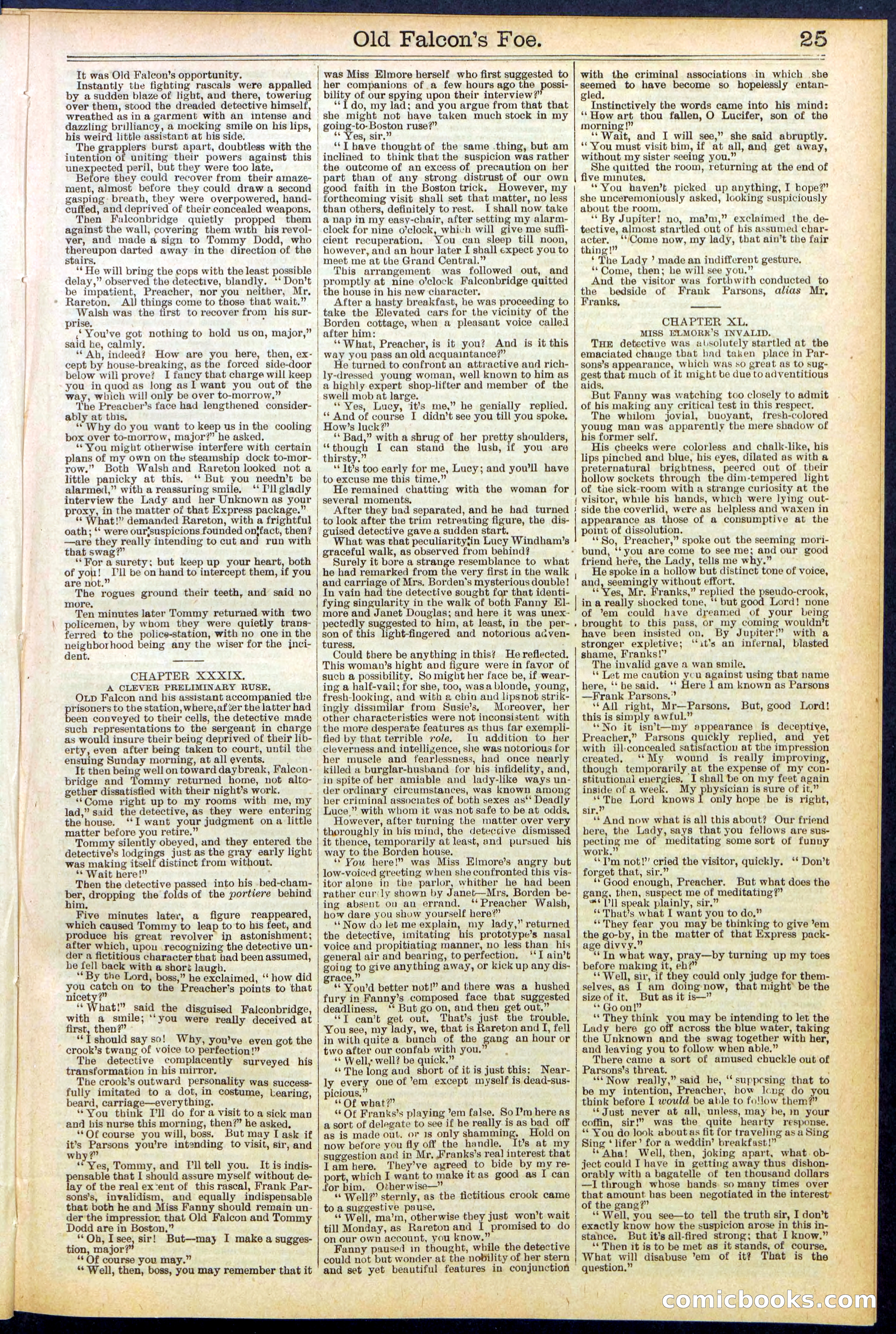 Beadle's New York Dime Library No. 536 — page 25 of 32