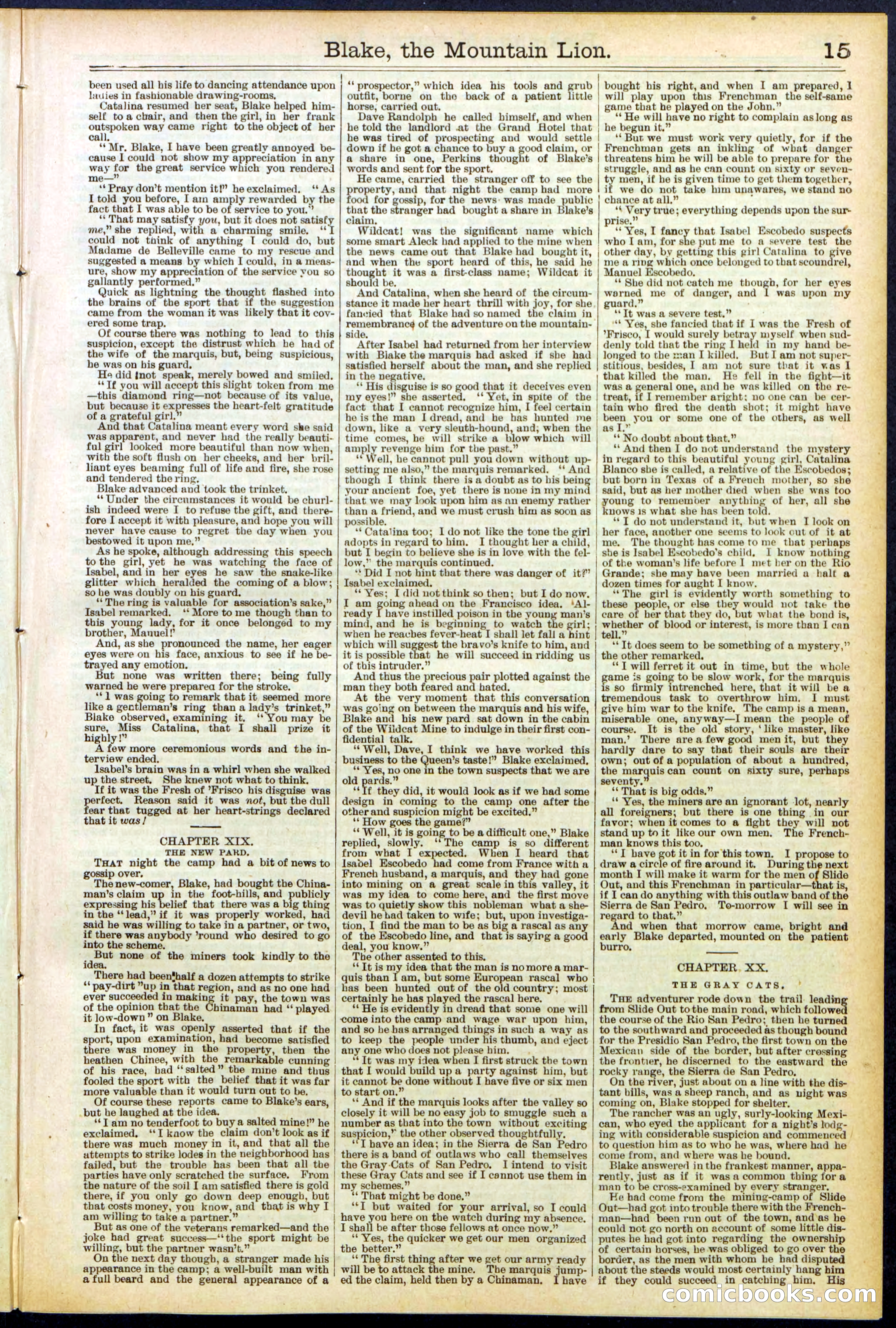 Beadle's Dime Library No. 537 — page 15 of 32