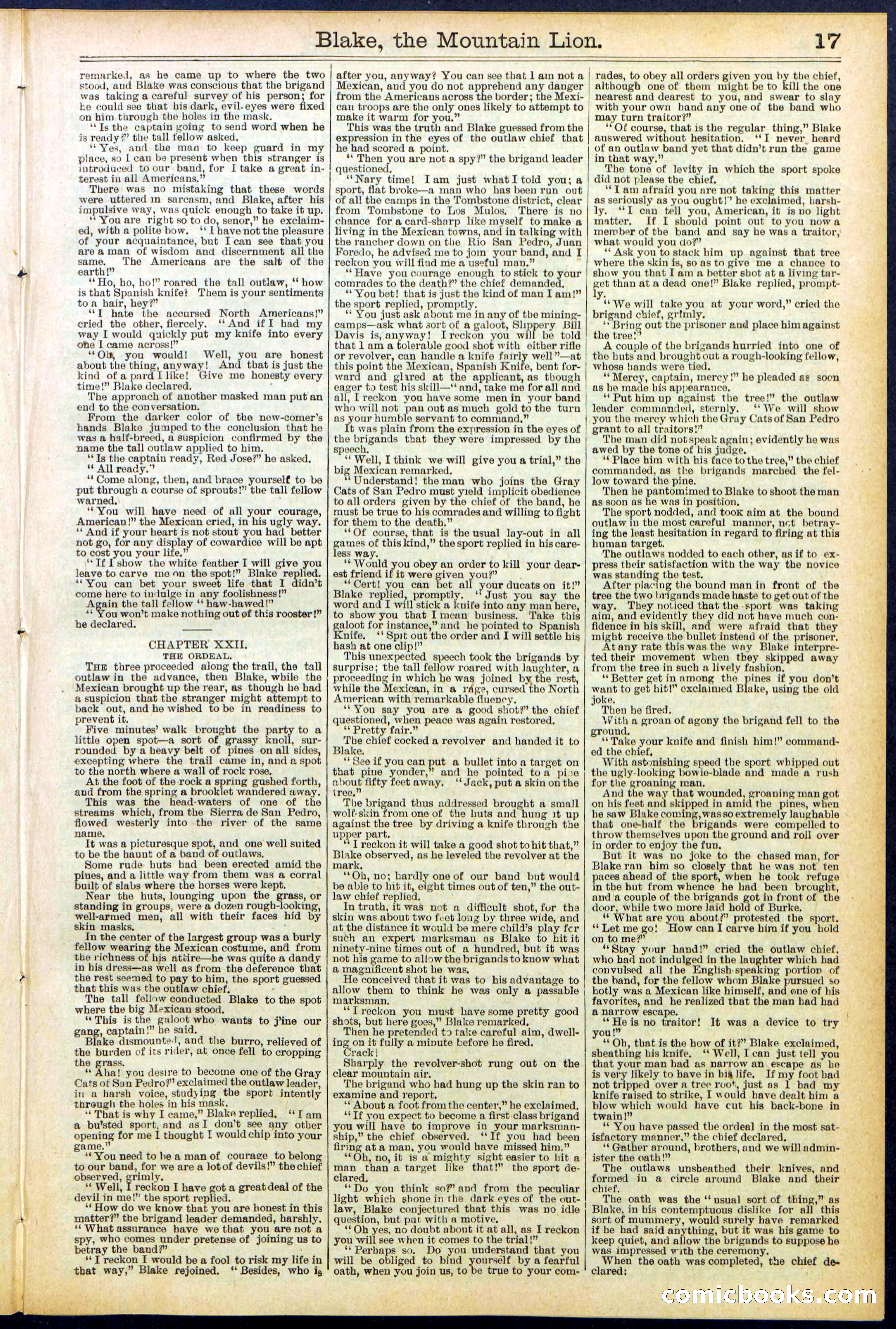 Beadle's Dime Library No. 537 — page 17 of 32