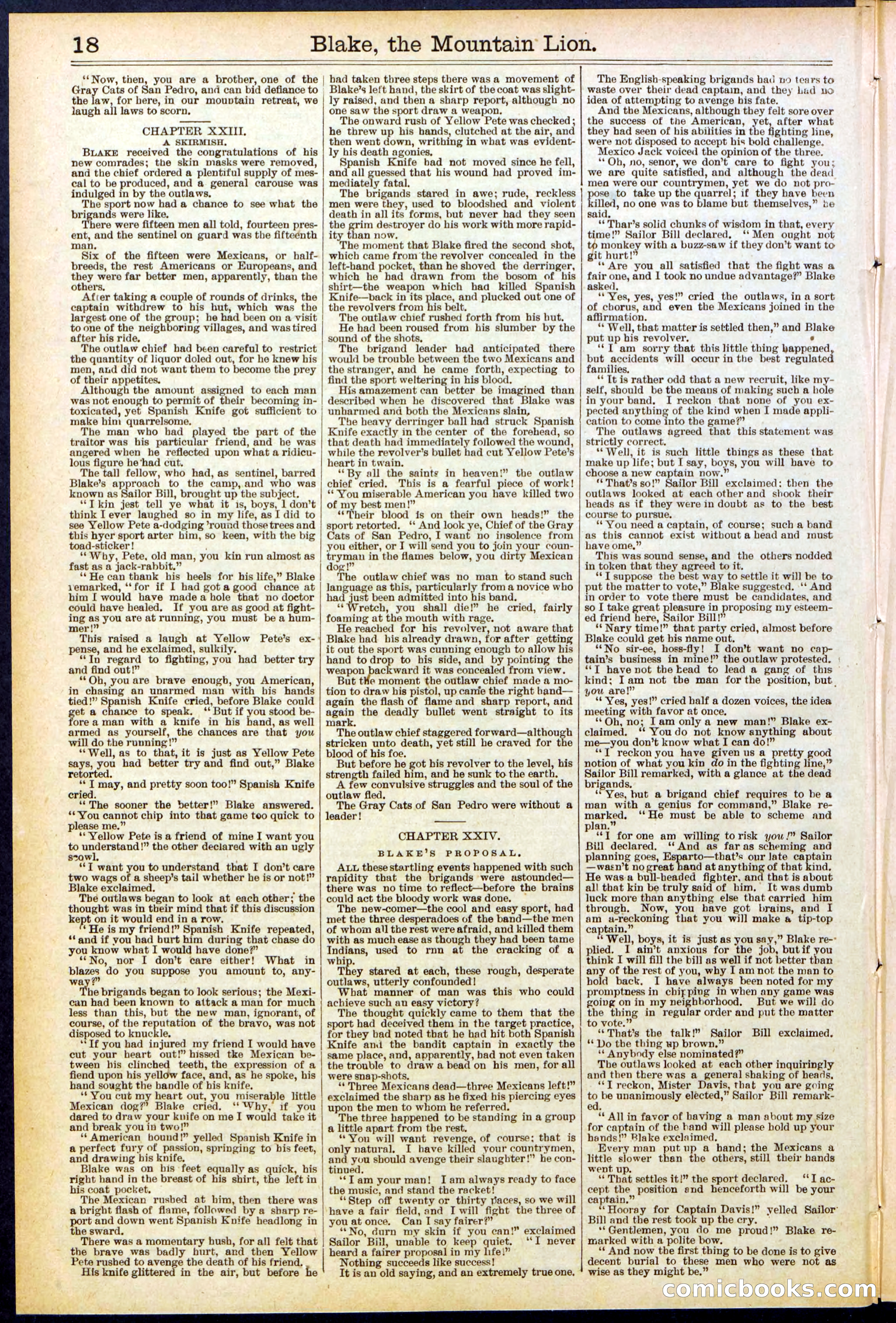 Beadle's Dime Library No. 537 — page 18 of 32