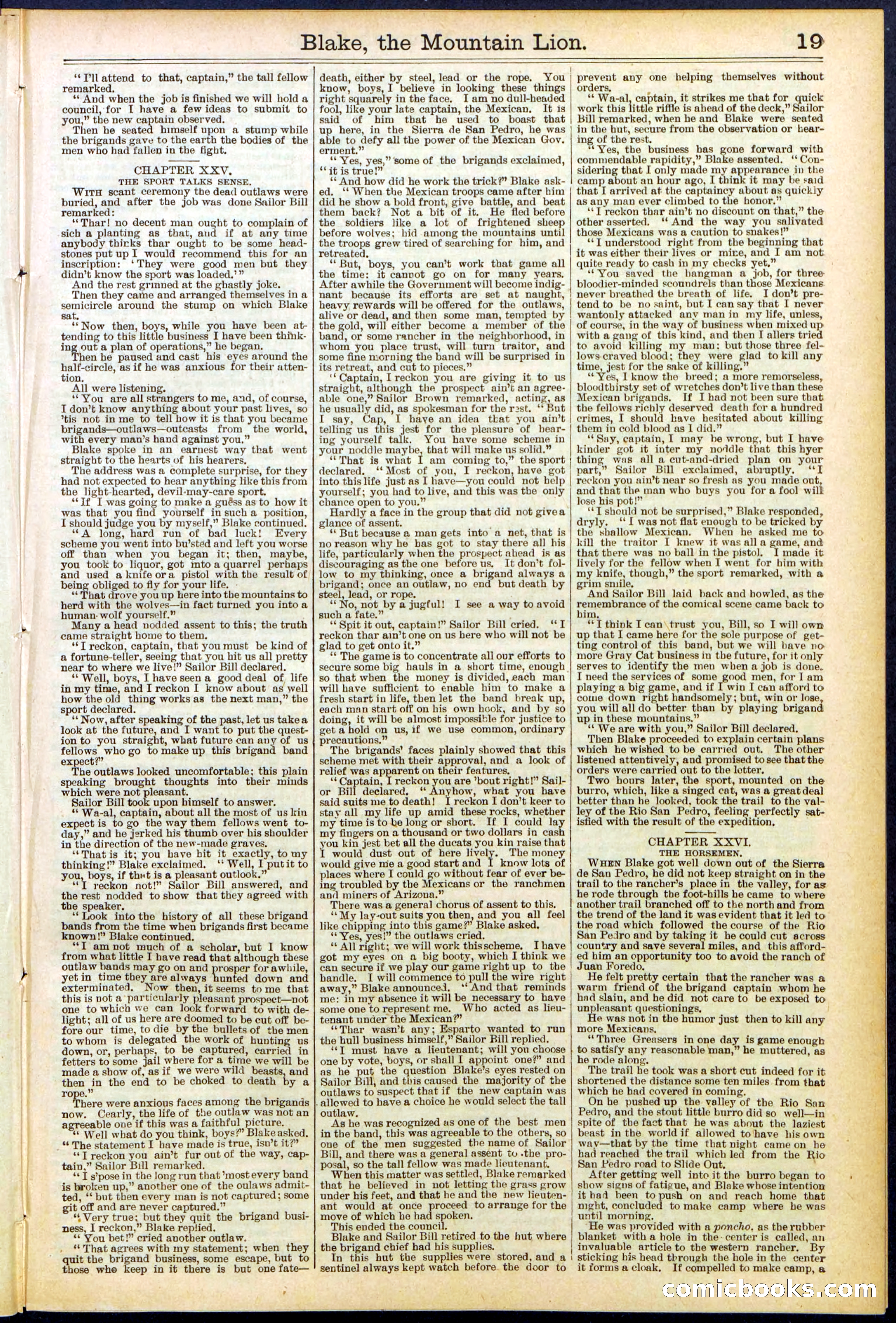 Beadle's Dime Library No. 537 — page 19 of 32