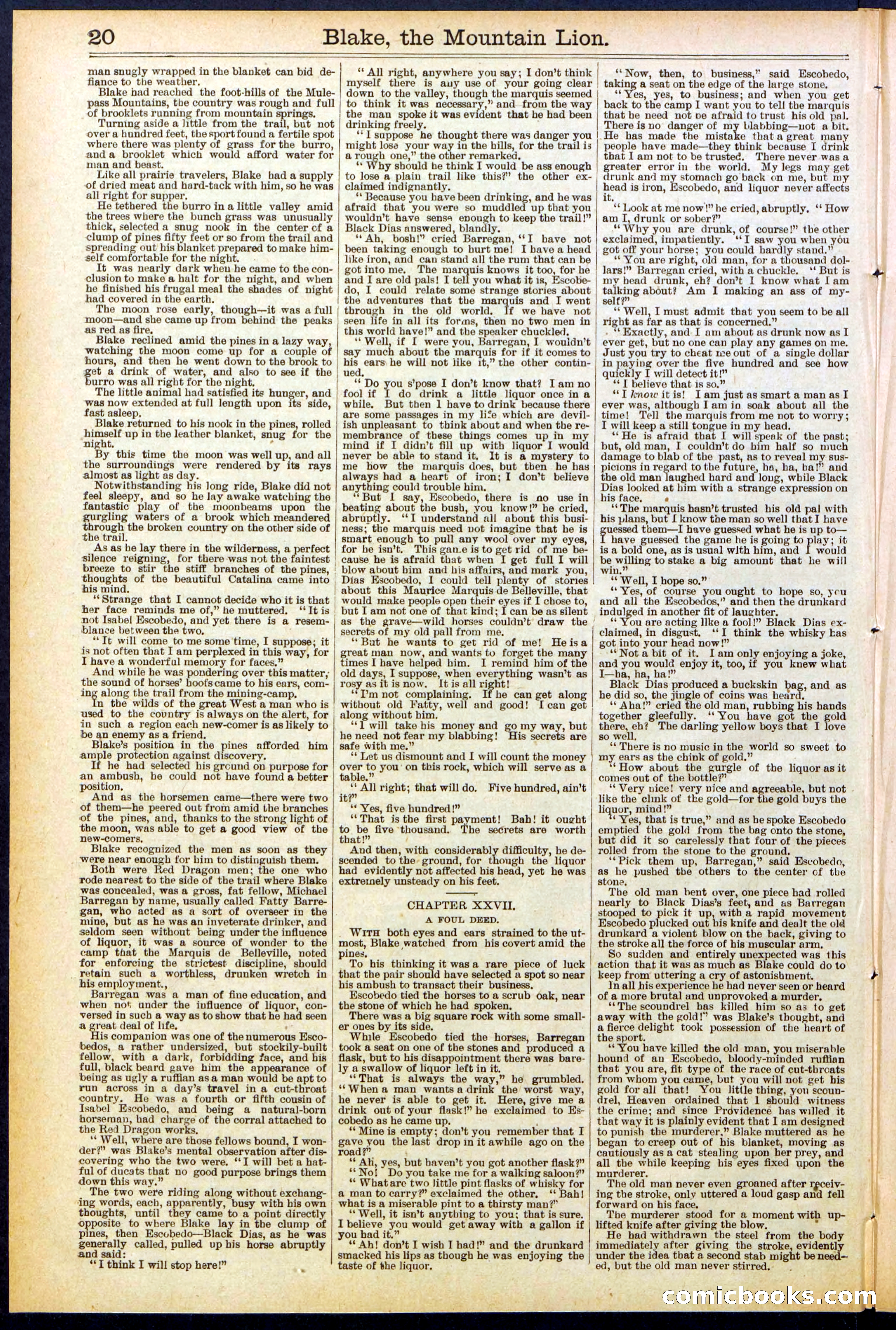 Beadle's Dime Library No. 537 — page 20 of 32