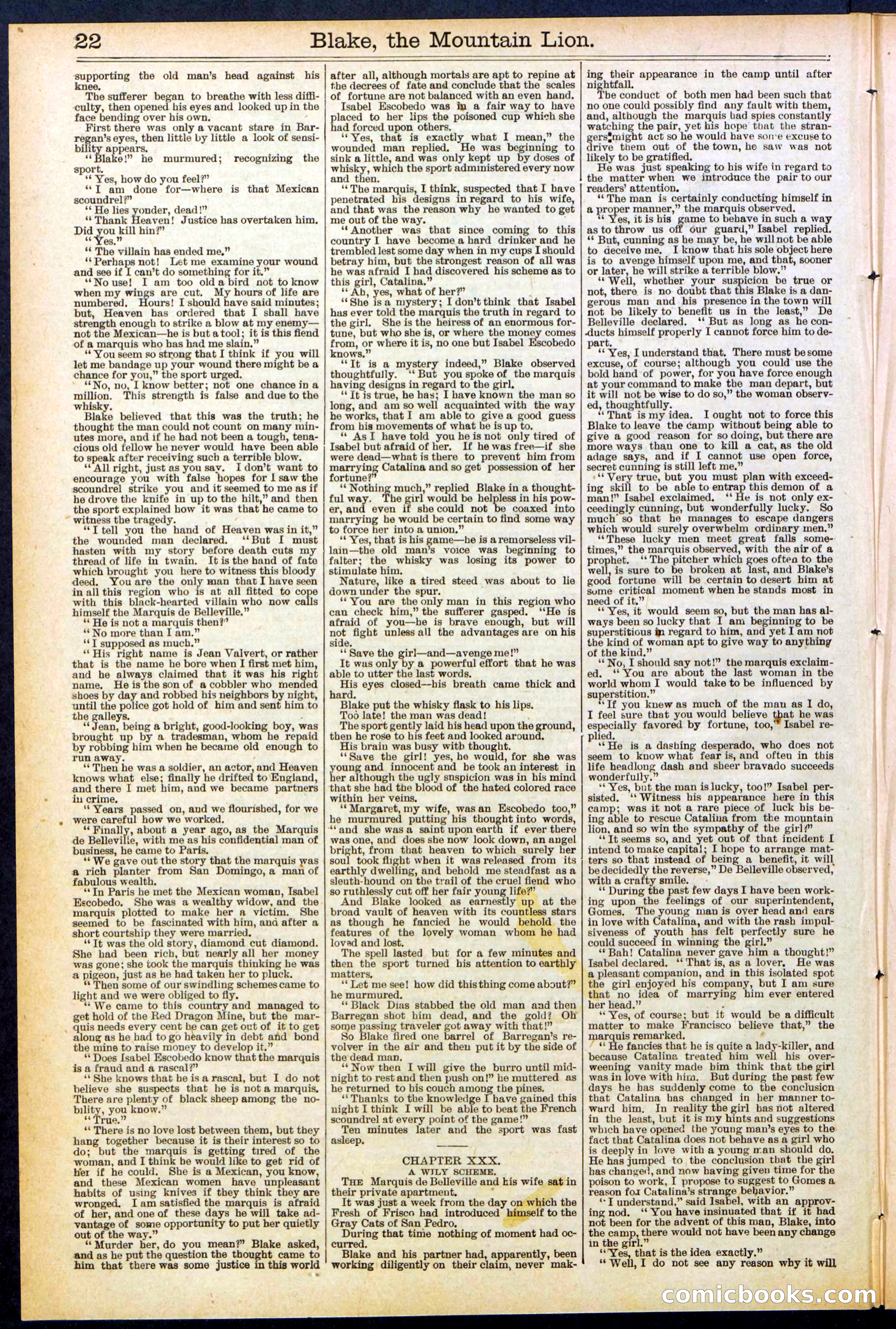 Beadle's Dime Library No. 537 — page 22 of 32