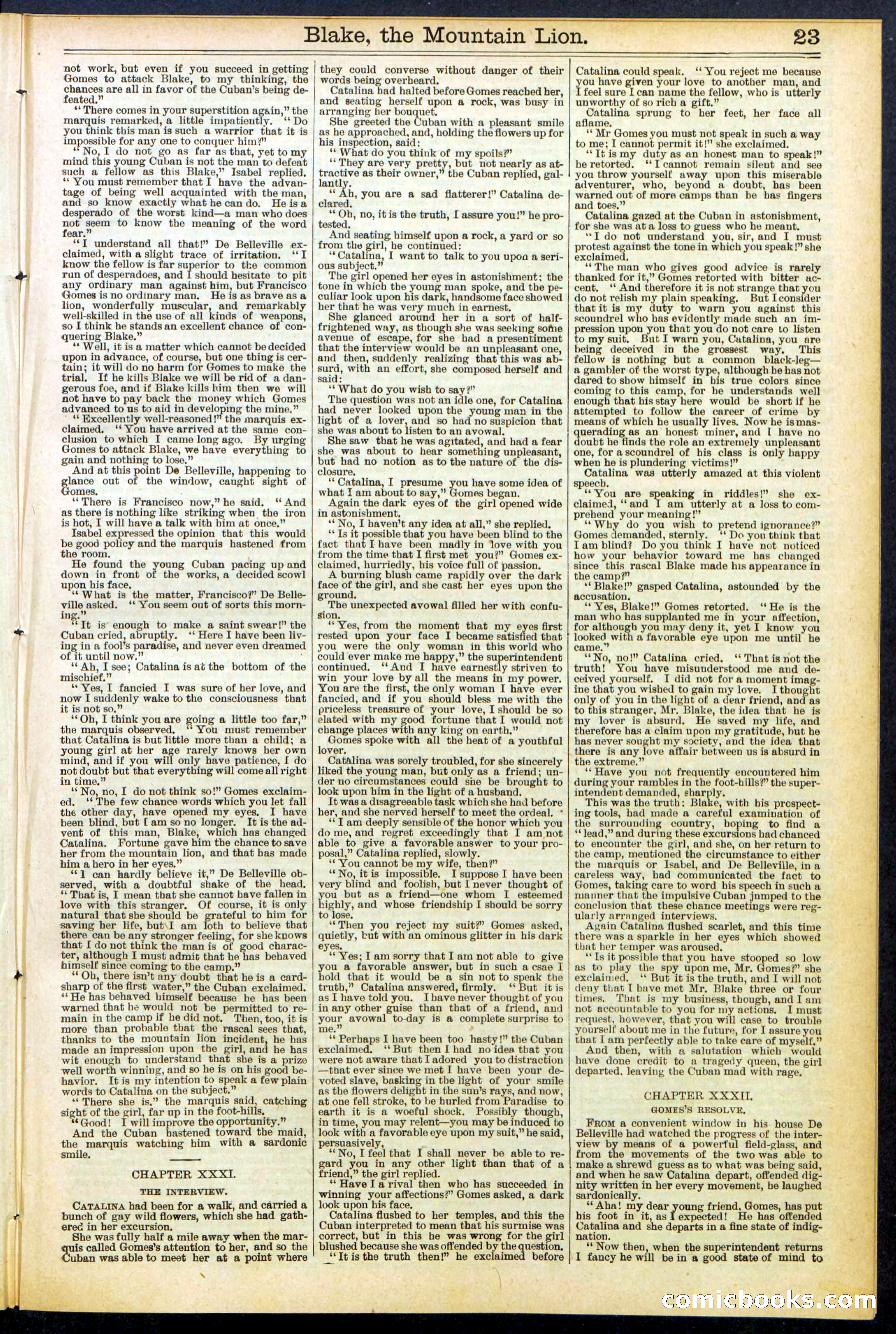 Beadle's Dime Library No. 537 — page 23 of 32