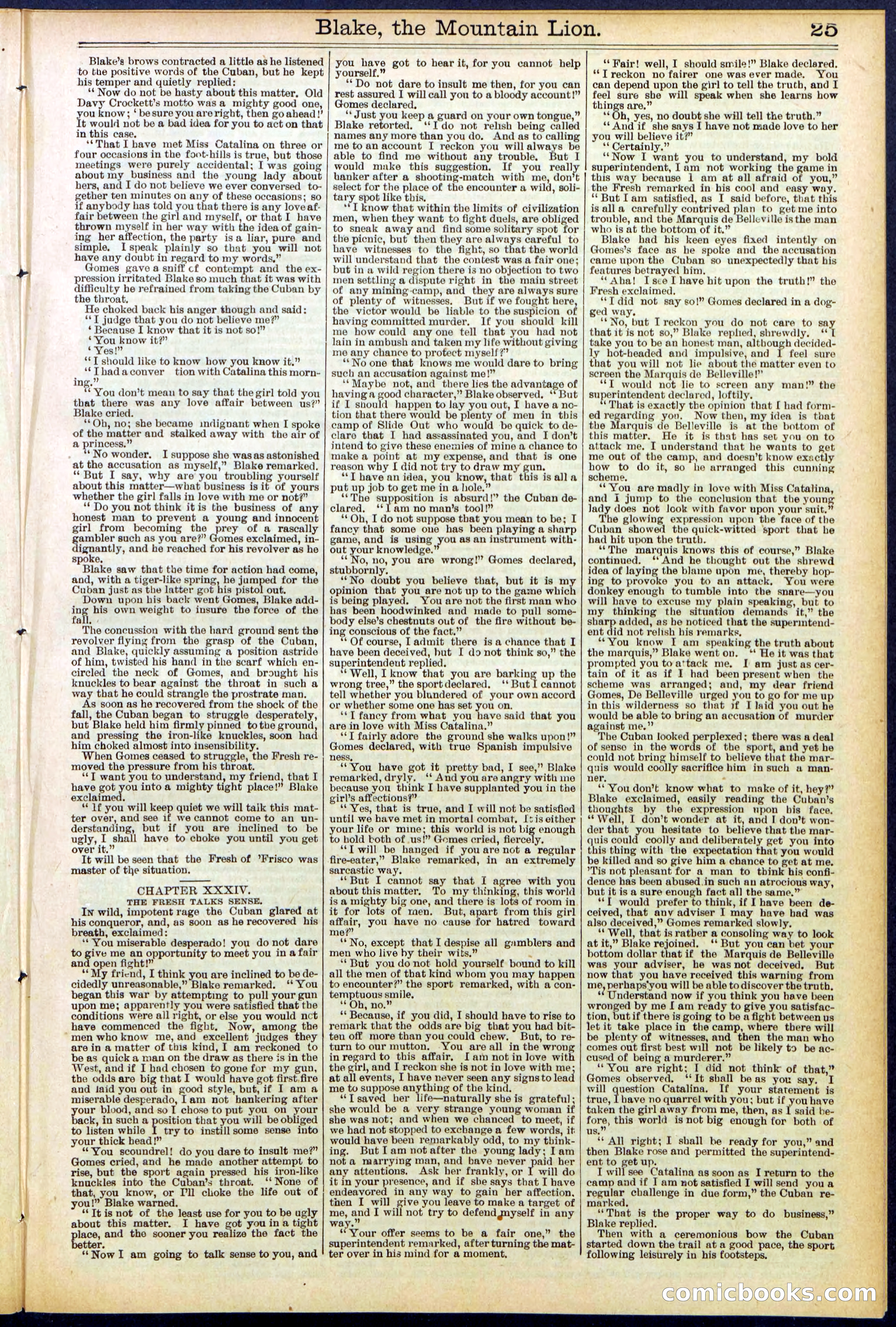Beadle's Dime Library No. 537 — page 25 of 32