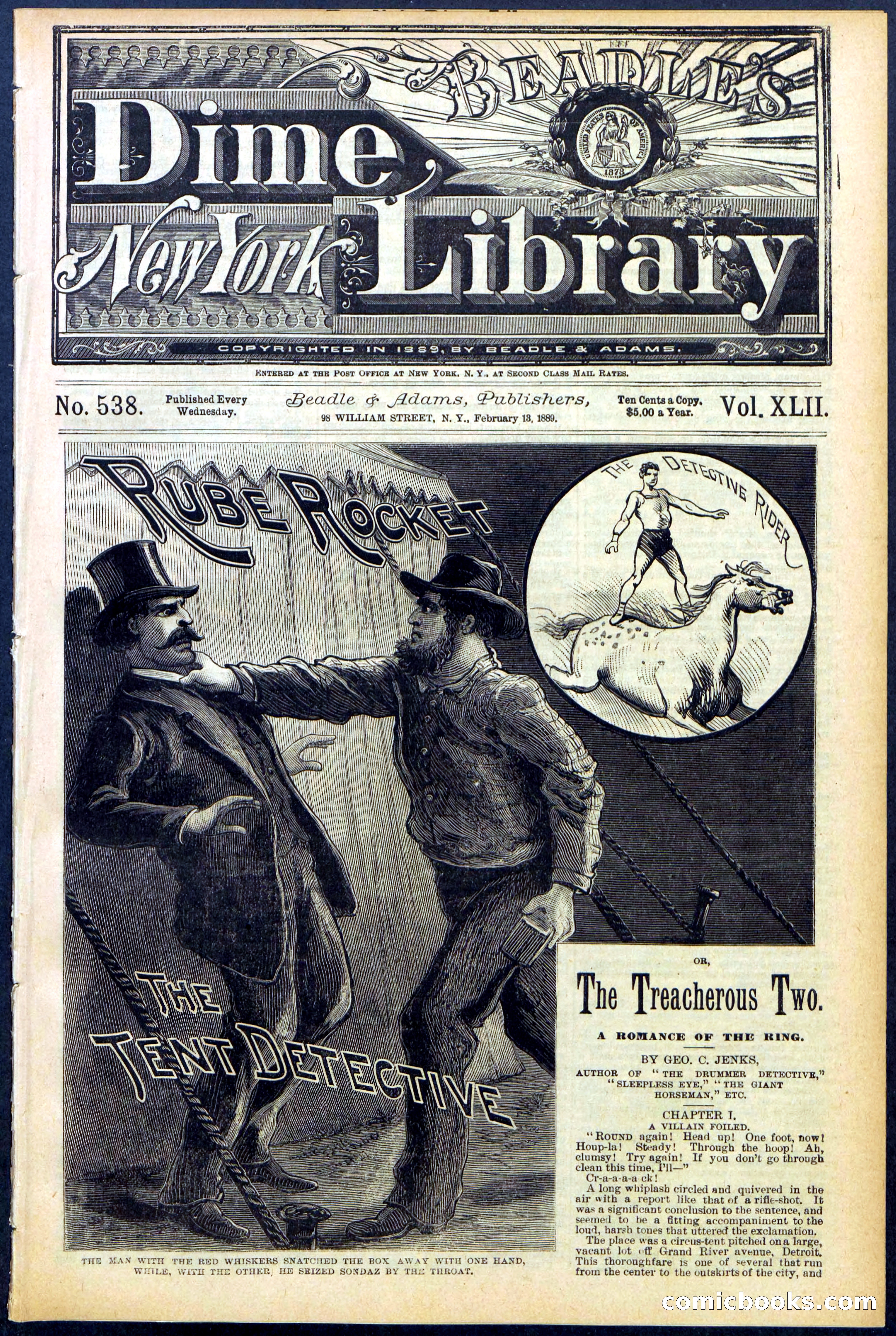 Beadle's New York Dime Library No. 538 — page 1 of 32