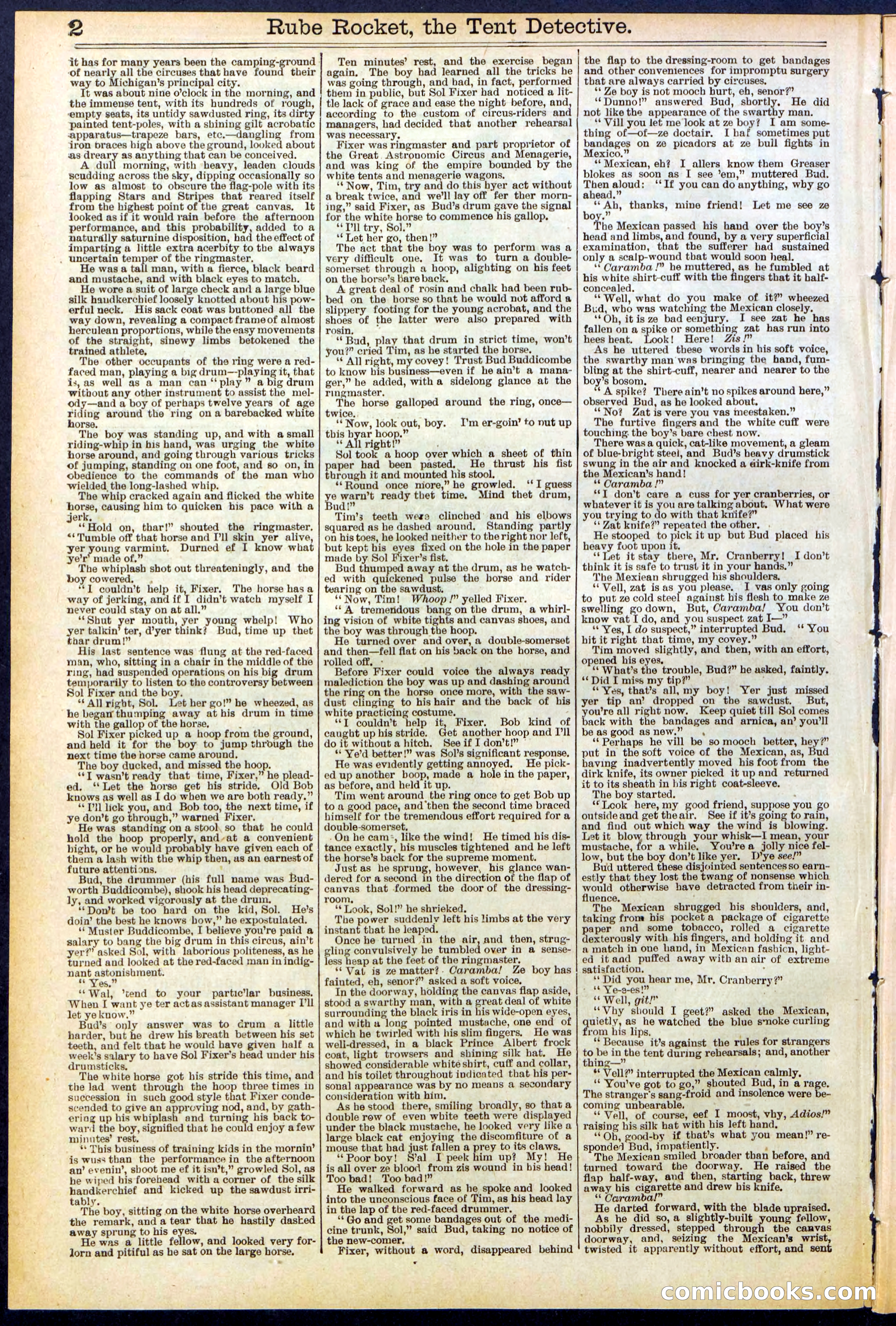 Beadle's New York Dime Library No. 538 — page 2 of 32