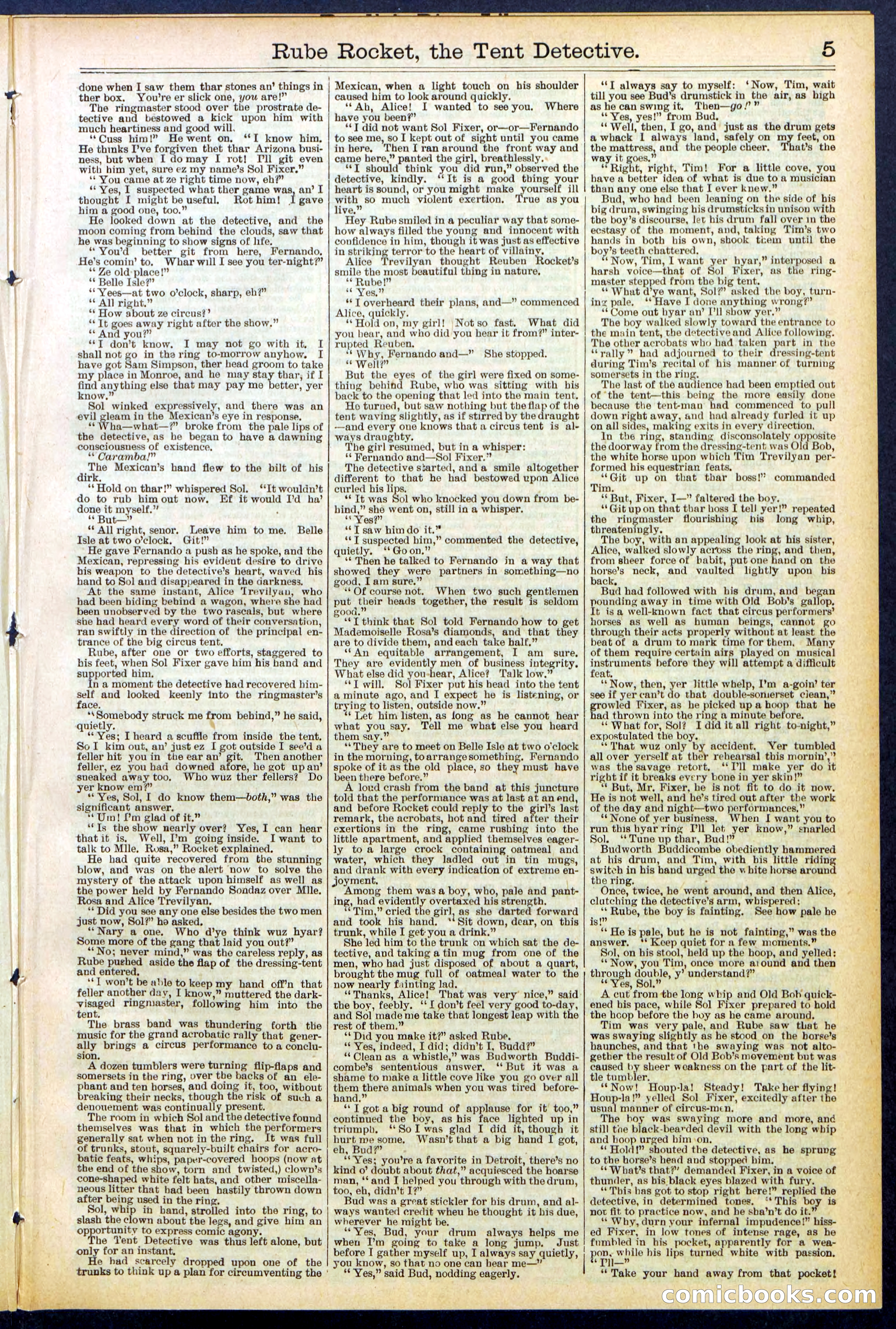 Beadle's New York Dime Library No. 538 — page 5 of 32