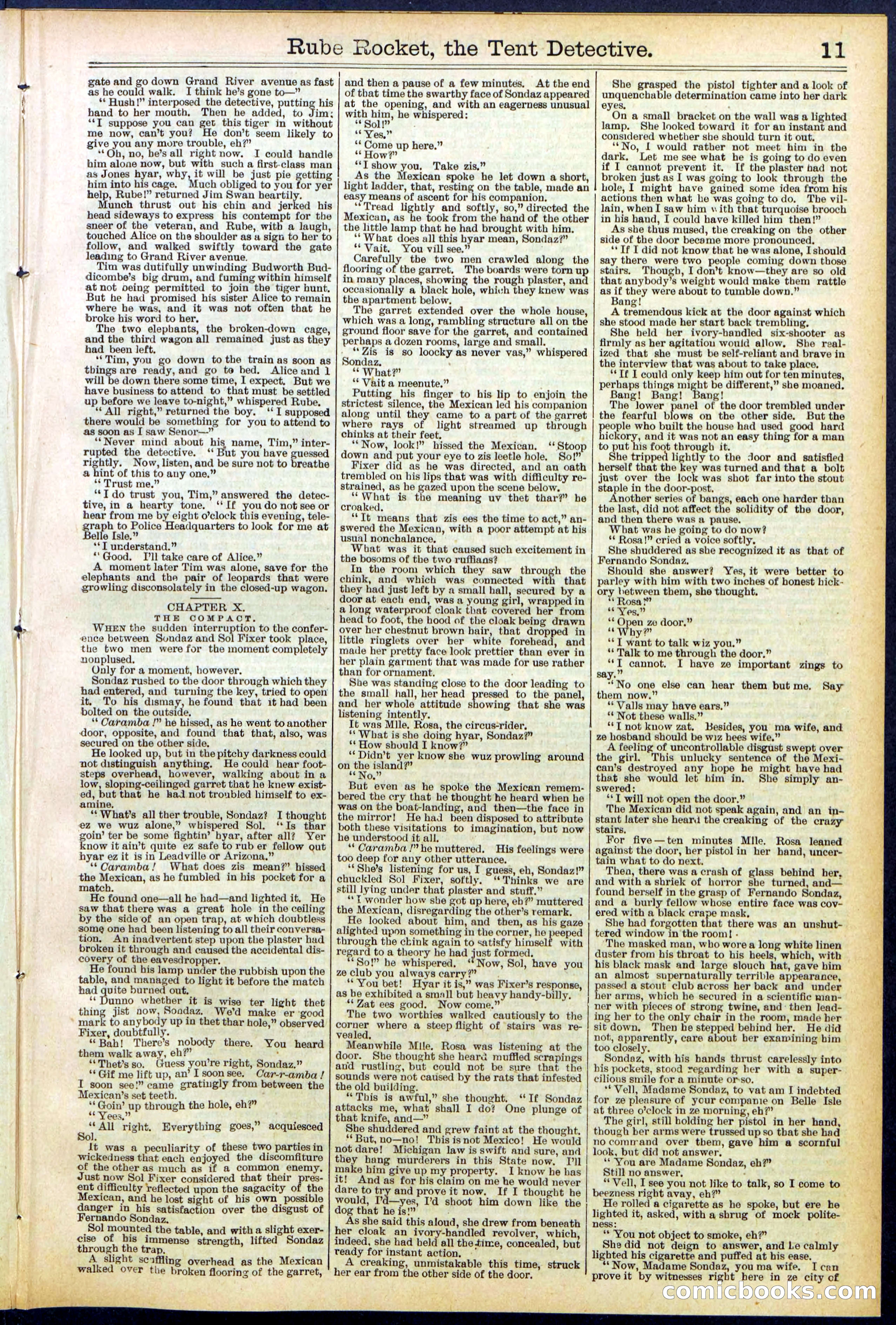 Beadle's New York Dime Library No. 538 — page 11 of 32
