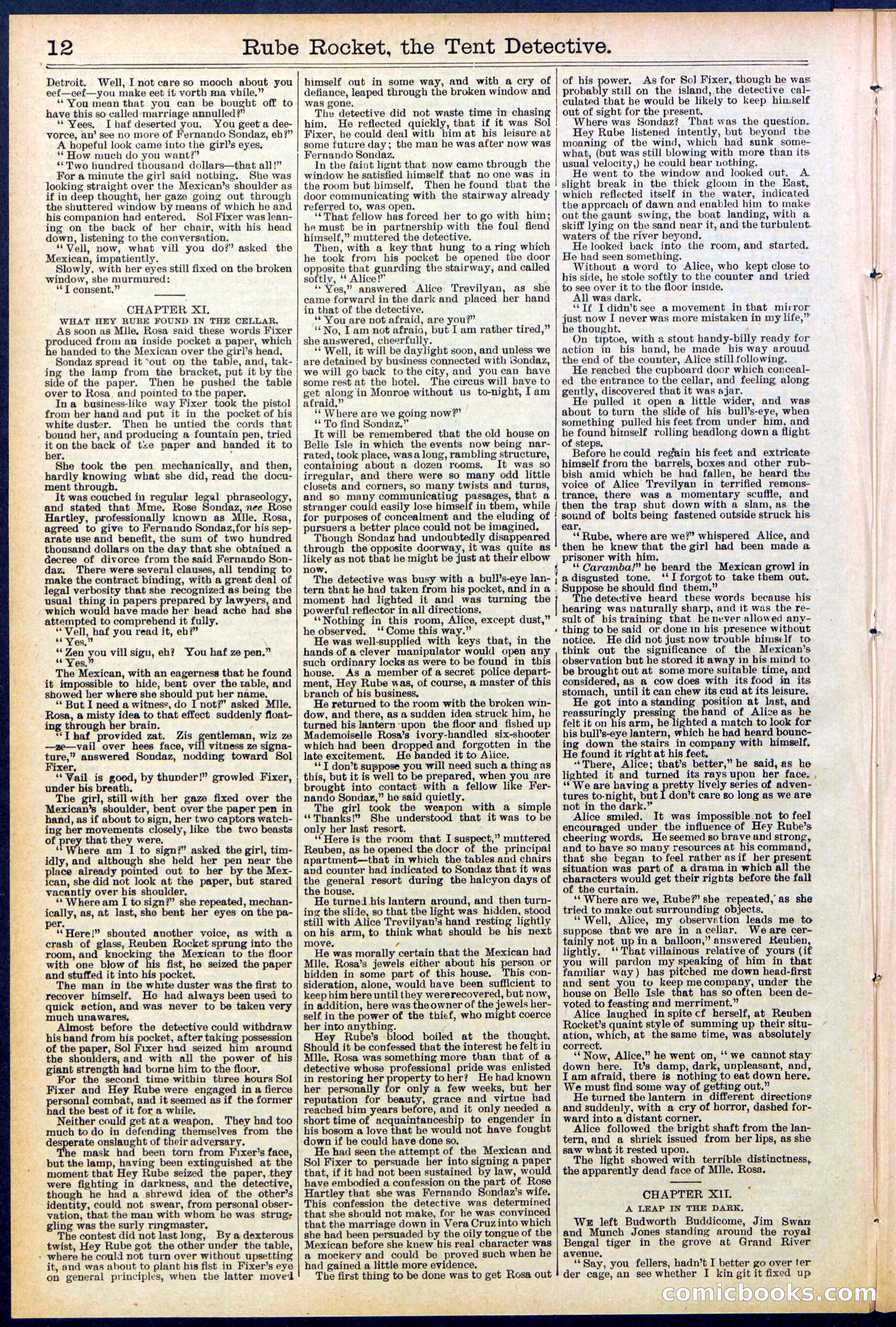 Beadle's New York Dime Library No. 538 — page 12 of 32