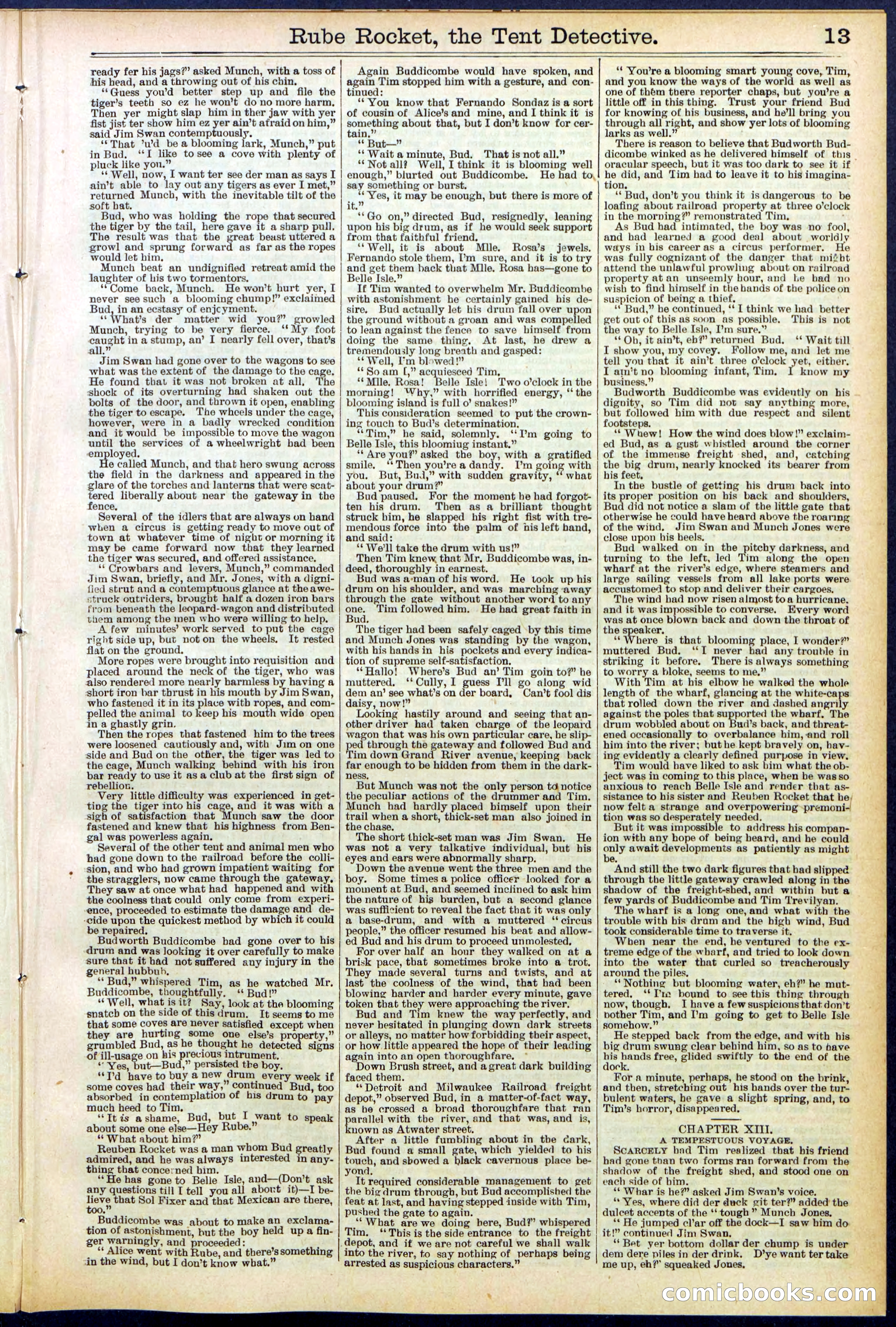 Beadle's New York Dime Library No. 538 — page 13 of 32