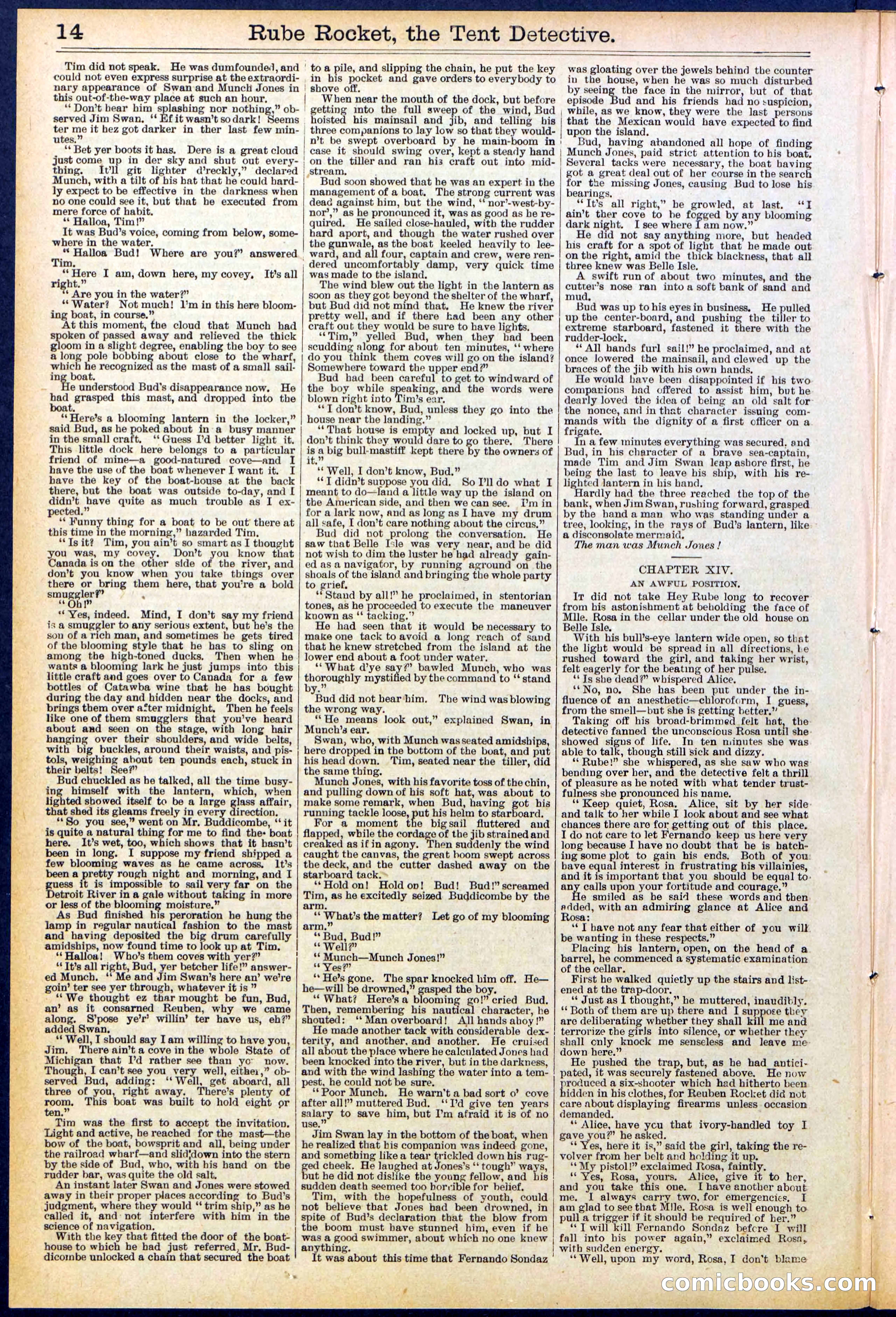 Beadle's New York Dime Library No. 538 — page 14 of 32