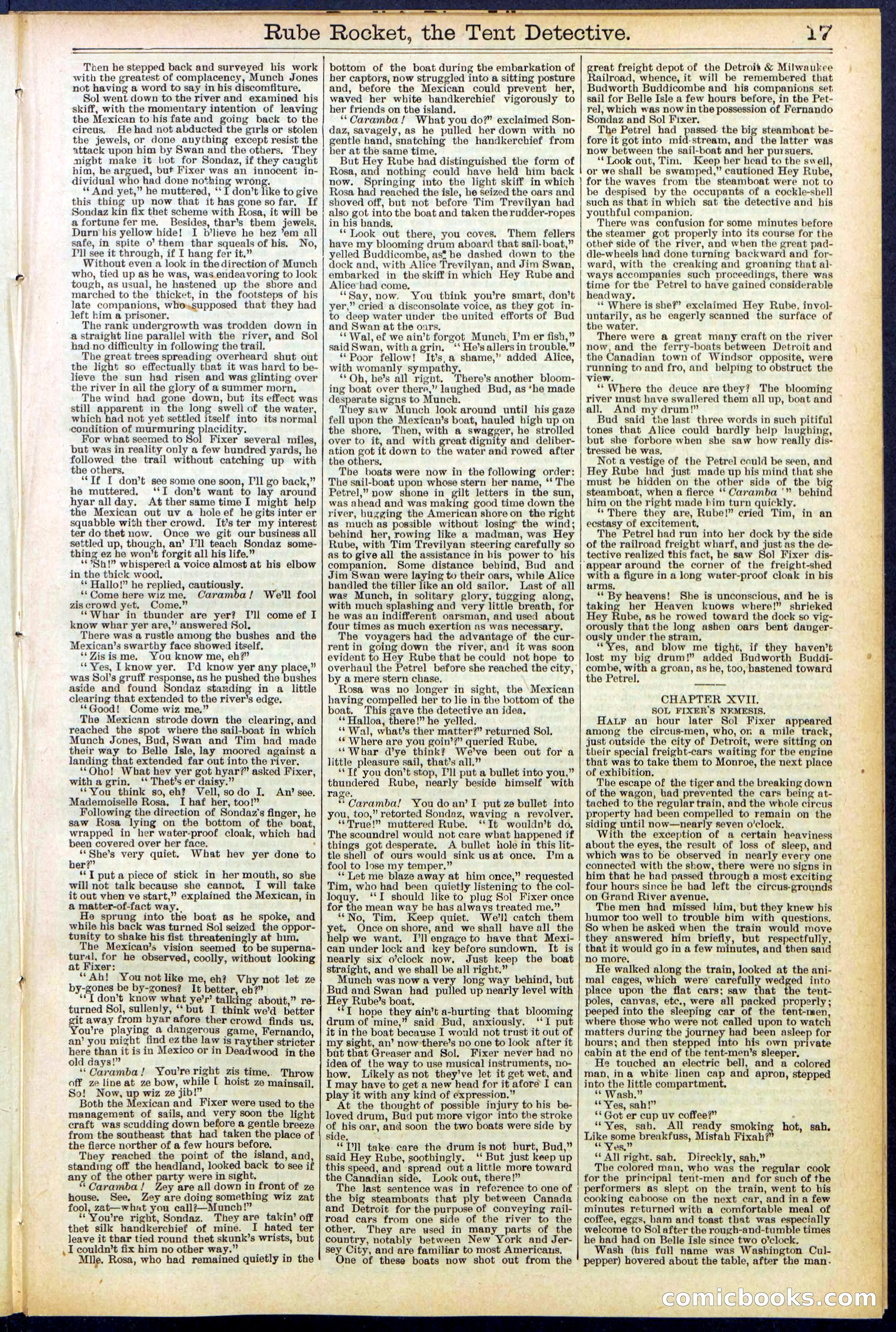 Beadle's New York Dime Library No. 538 — page 17 of 32