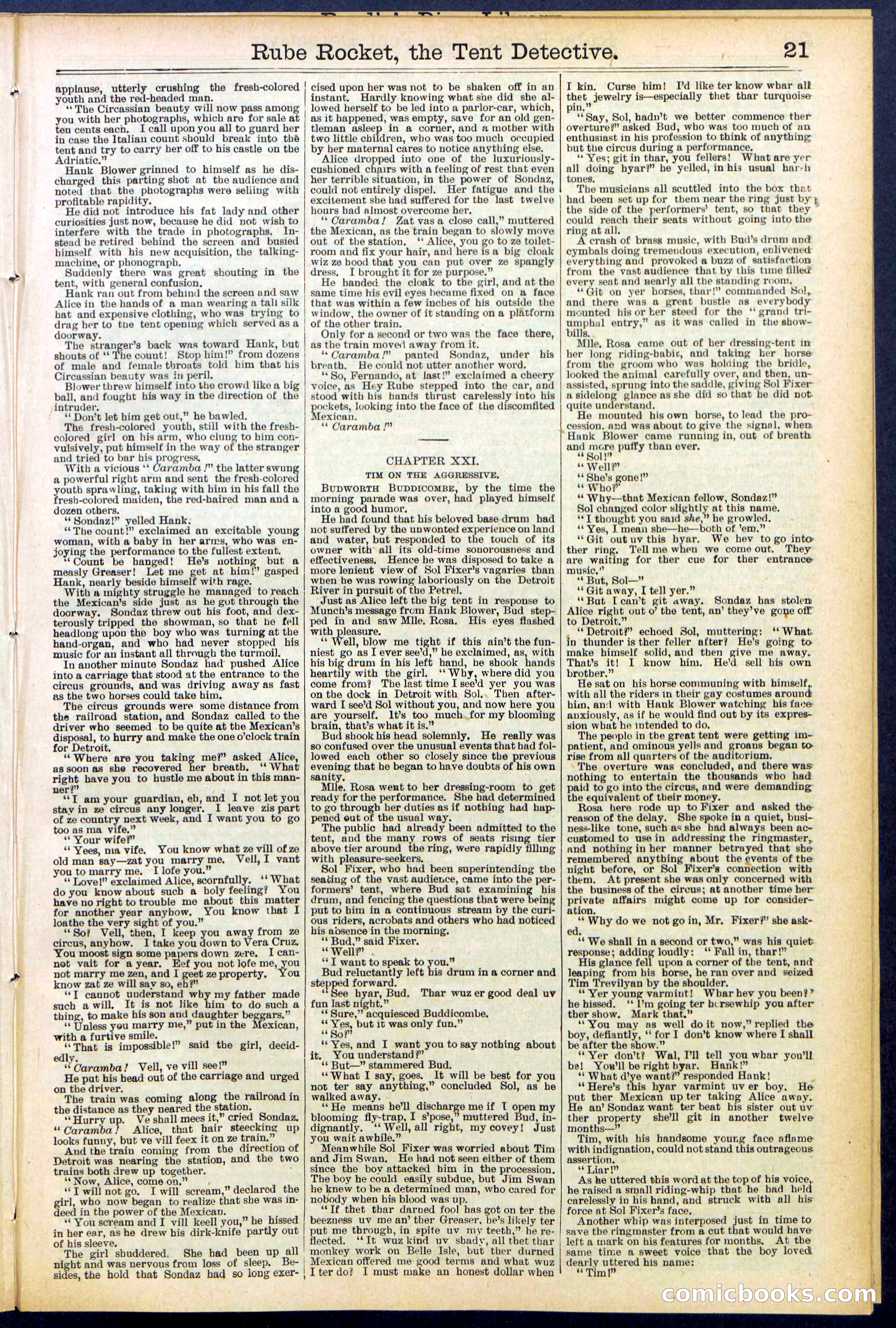 Beadle's New York Dime Library No. 538 — page 21 of 32