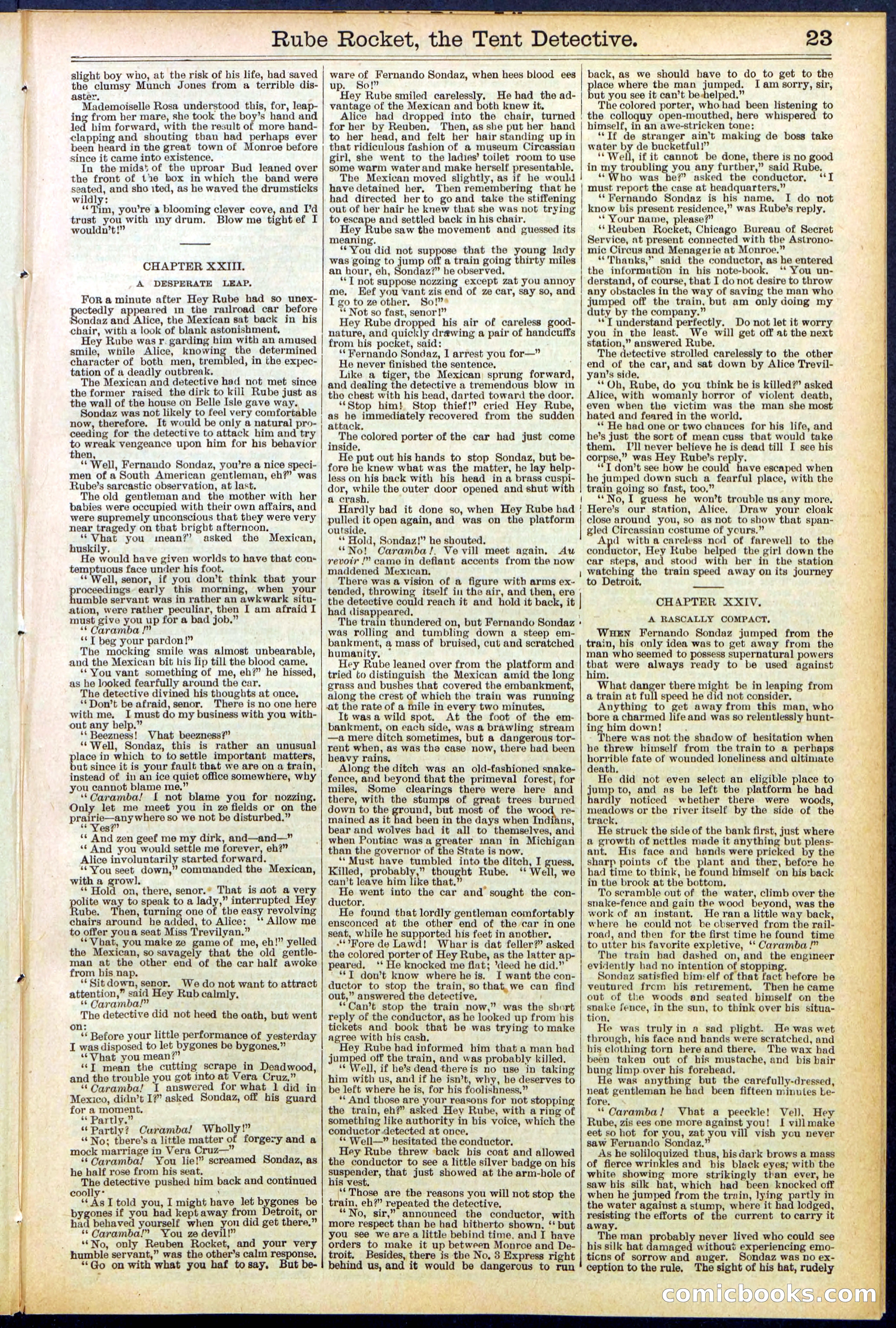 Beadle's New York Dime Library No. 538 — page 23 of 32