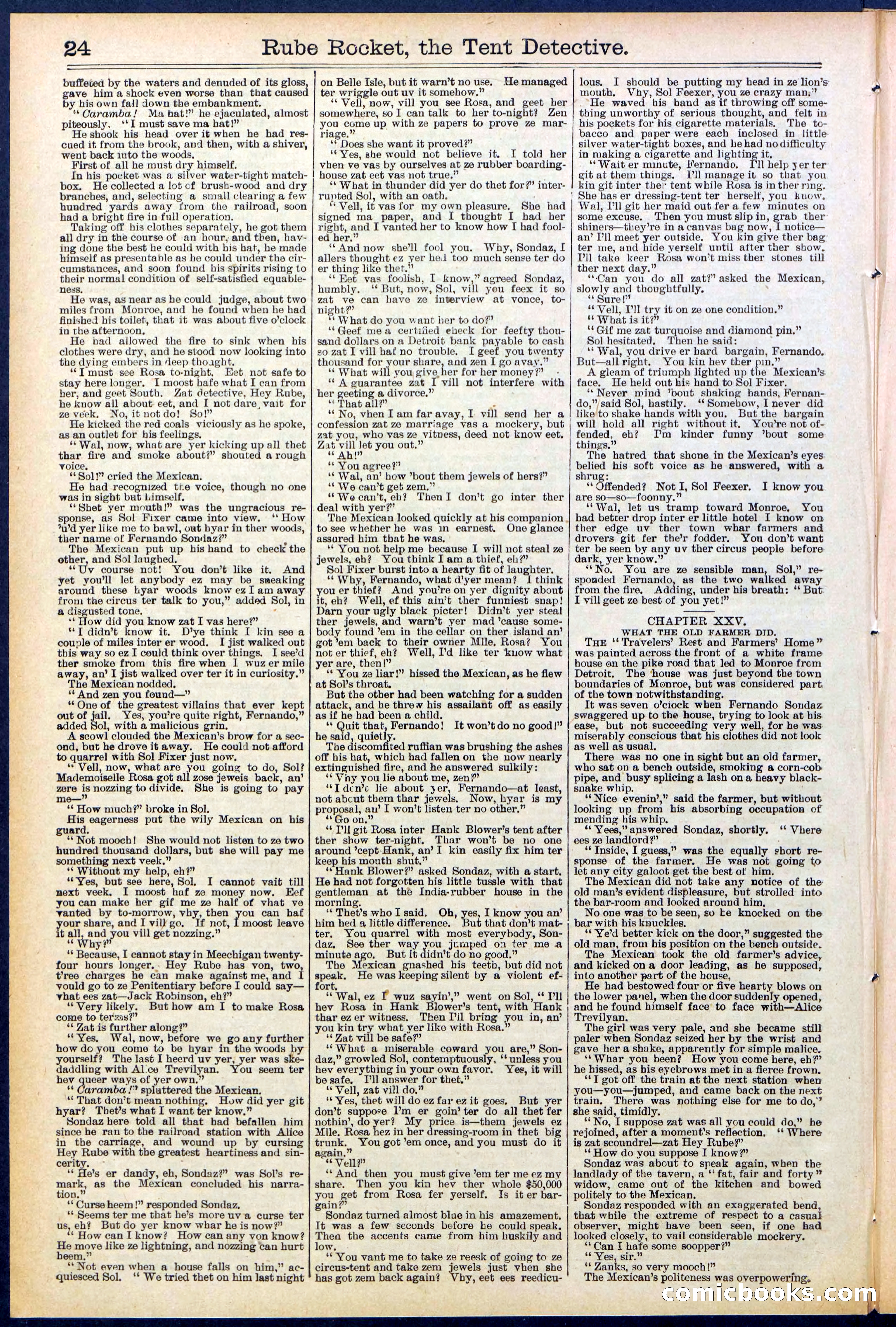 Beadle's New York Dime Library No. 538 — page 24 of 32