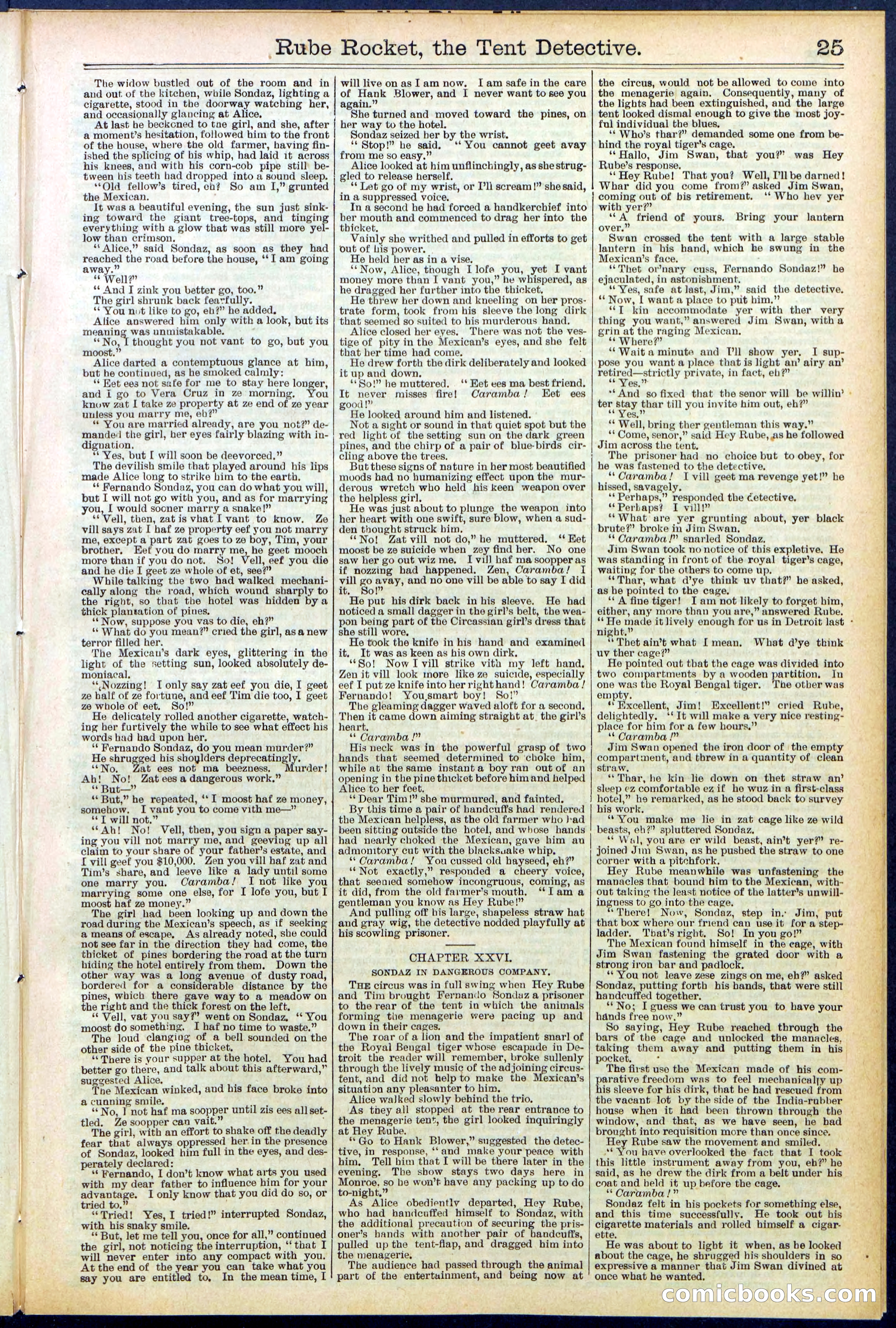 Beadle's New York Dime Library No. 538 — page 25 of 32