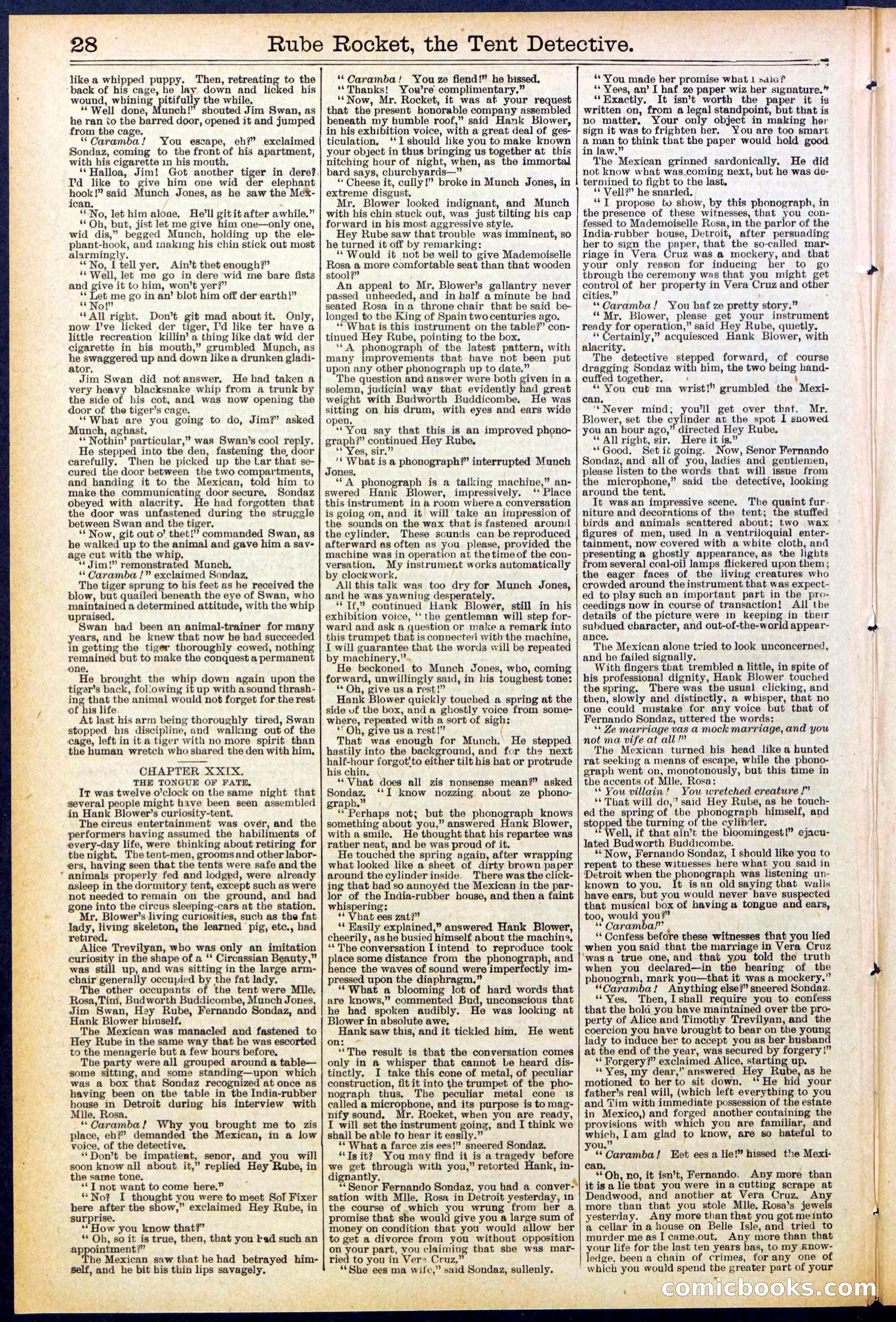 Beadle's New York Dime Library No. 538 — page 28 of 32