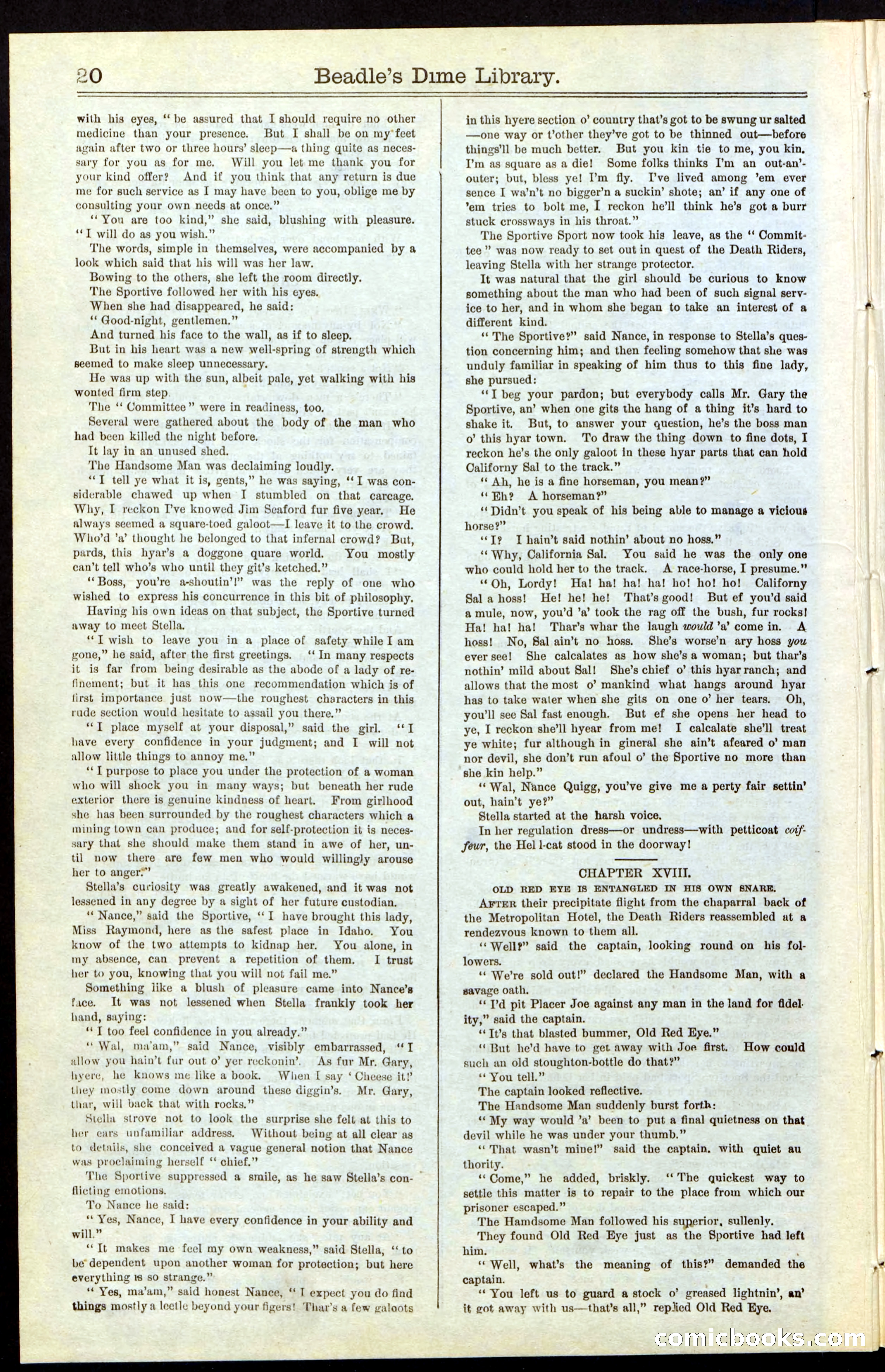 Beadle's New York Dime Library, No. 54 — page 20 of 32