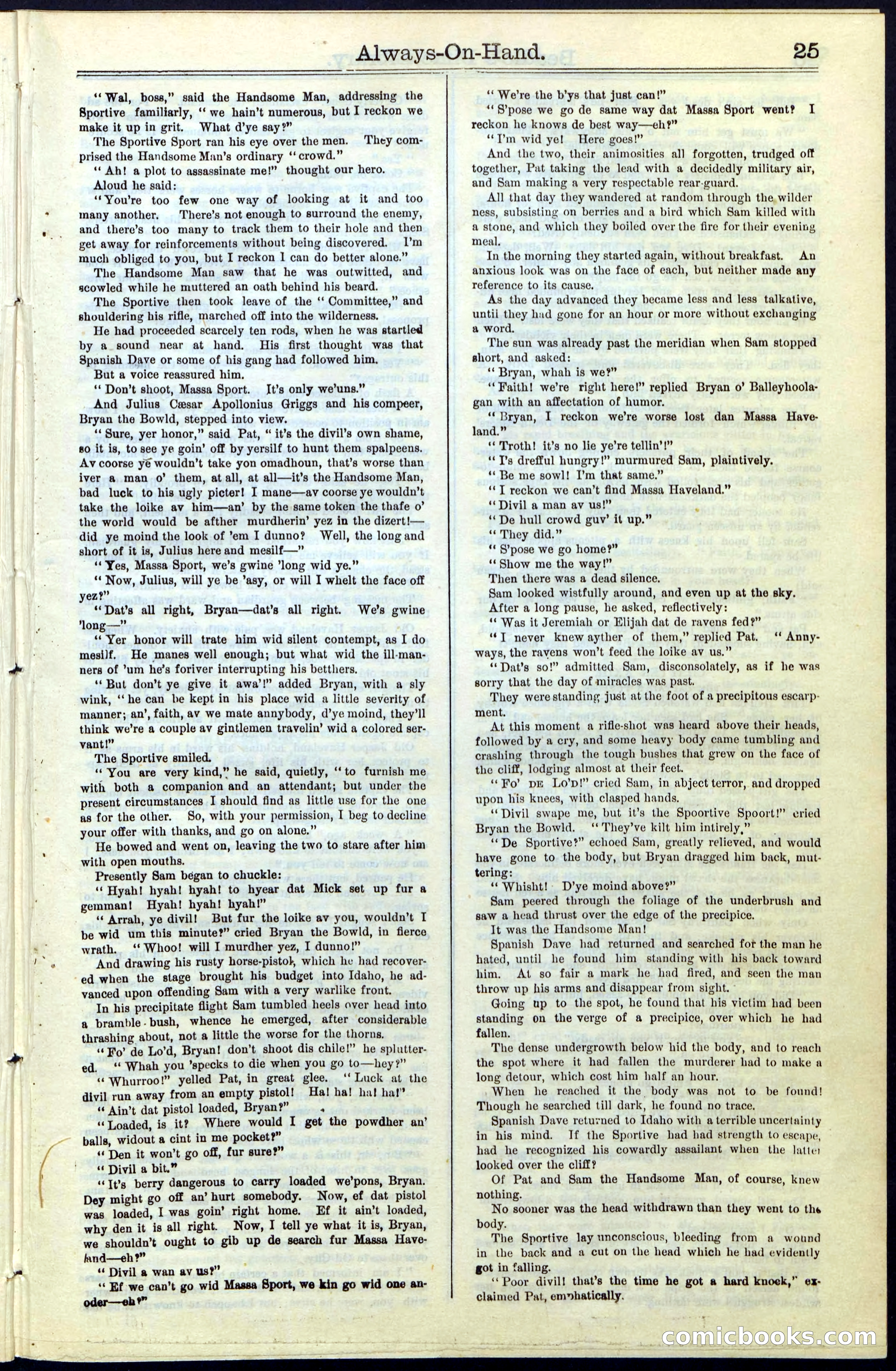 Beadle's New York Dime Library, No. 54 — page 25 of 32