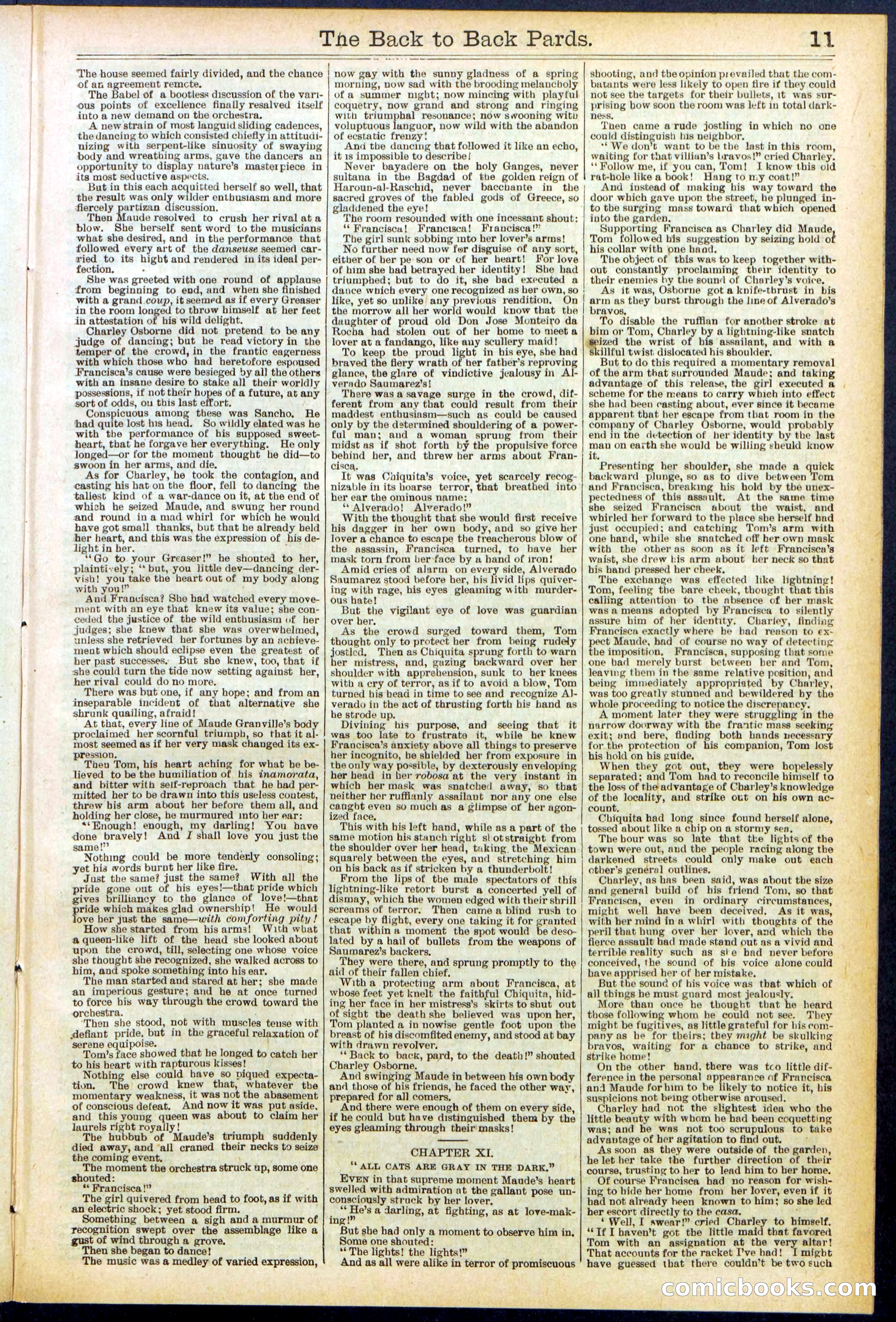Beadle's New York Dime Library No. 544 — page 11 of 32