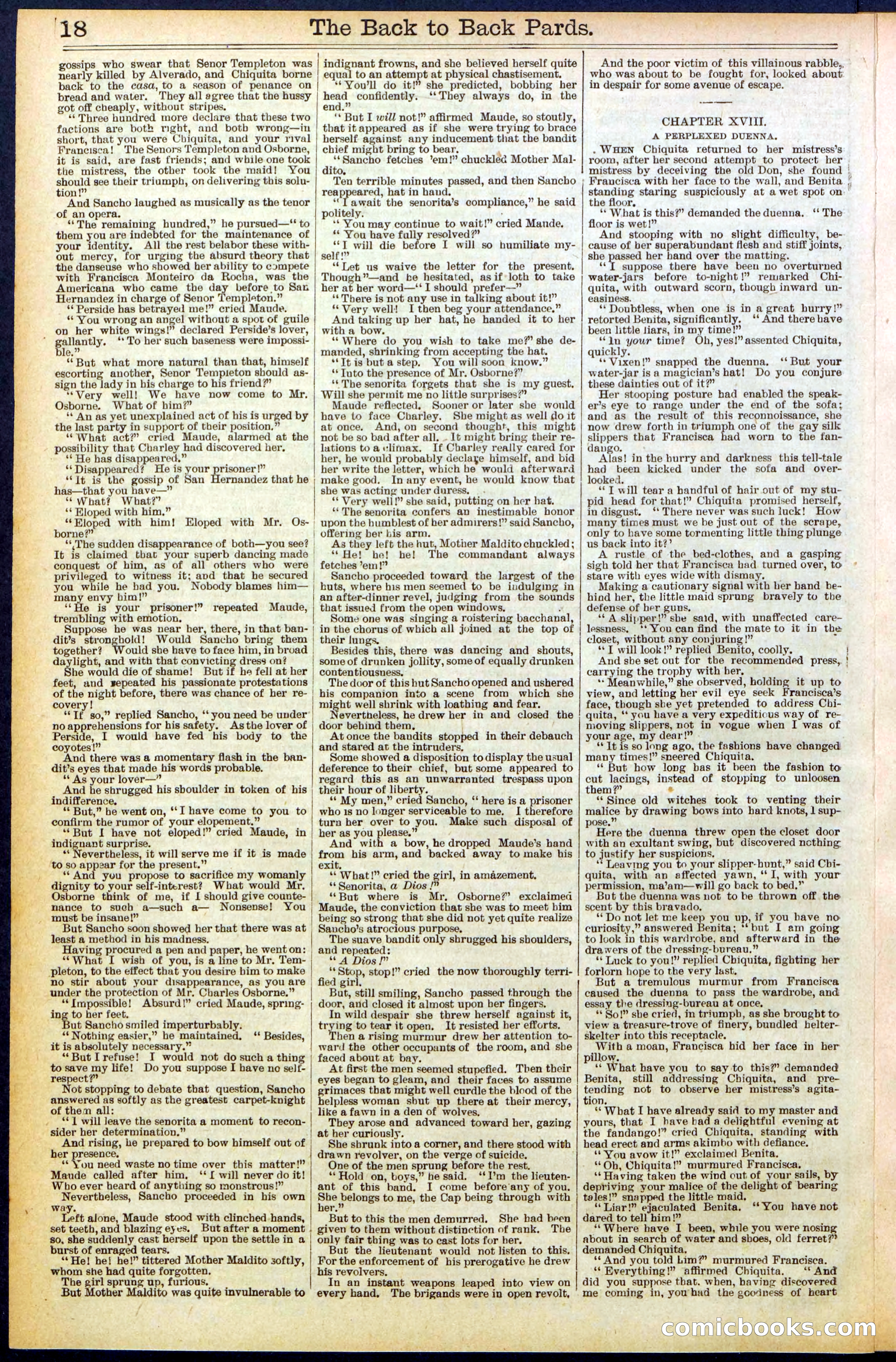 Beadle's New York Dime Library No. 544 — page 18 of 32