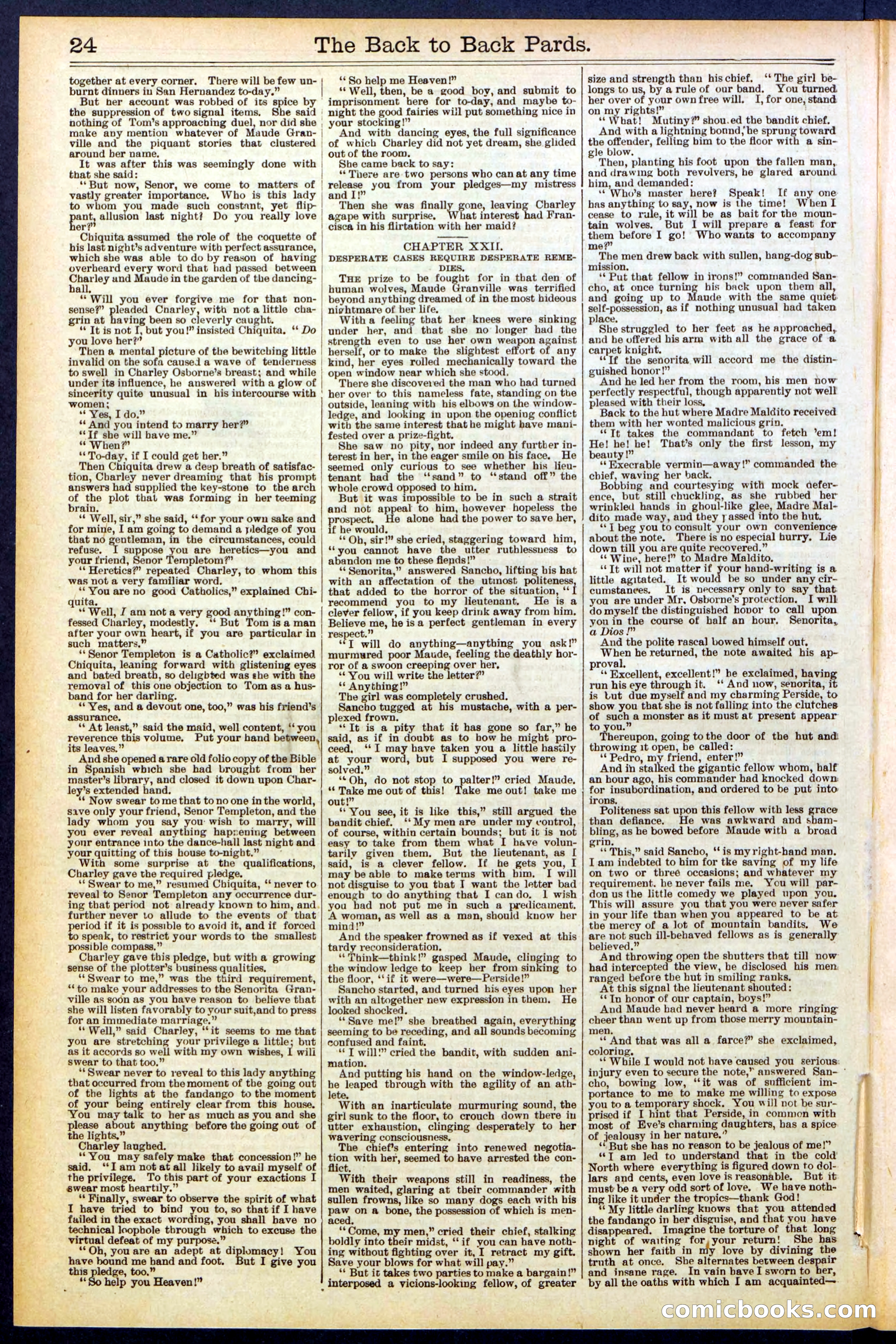 Beadle's New York Dime Library No. 544 — page 24 of 32