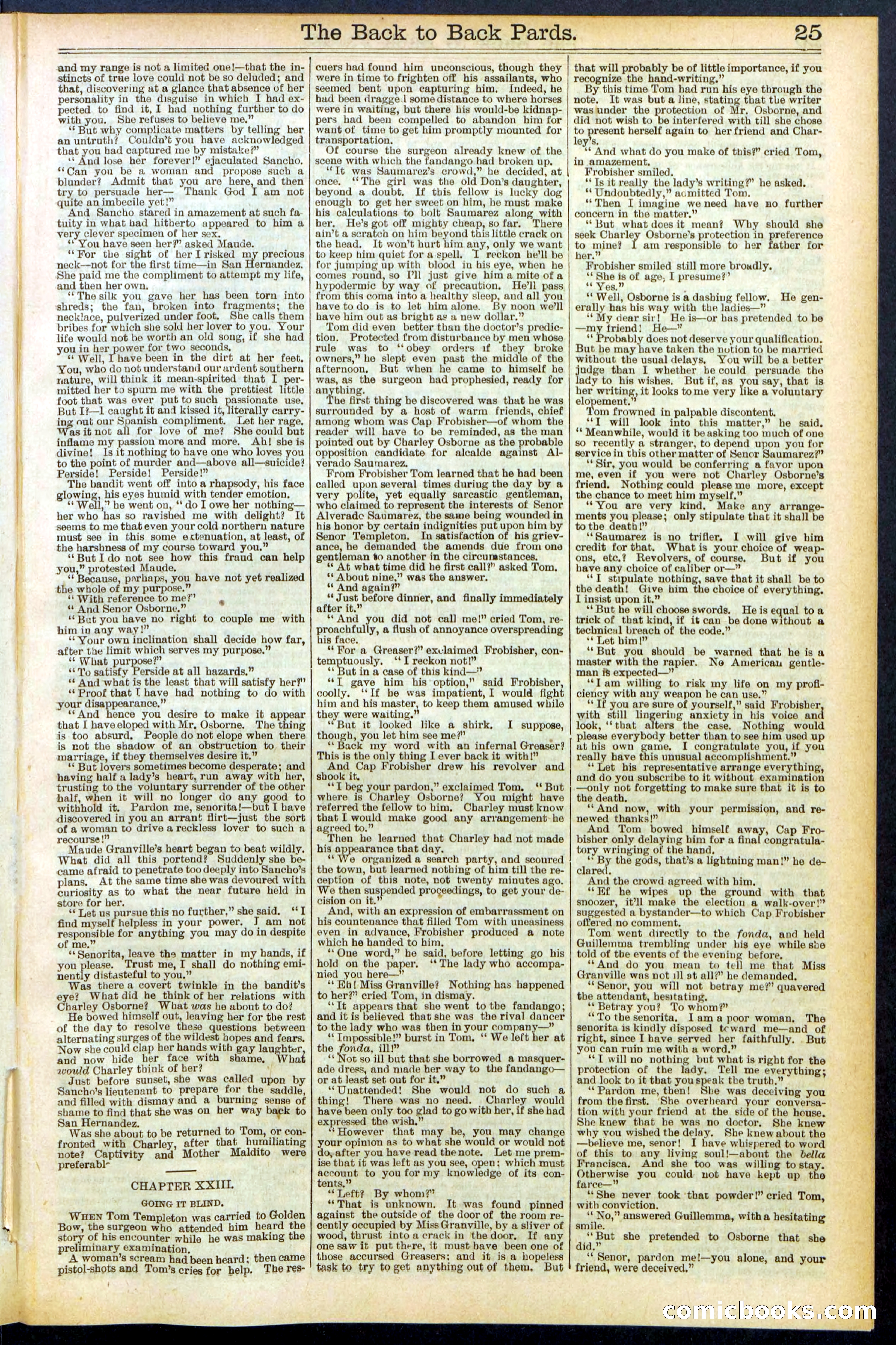 Beadle's New York Dime Library No. 544 — page 25 of 32
