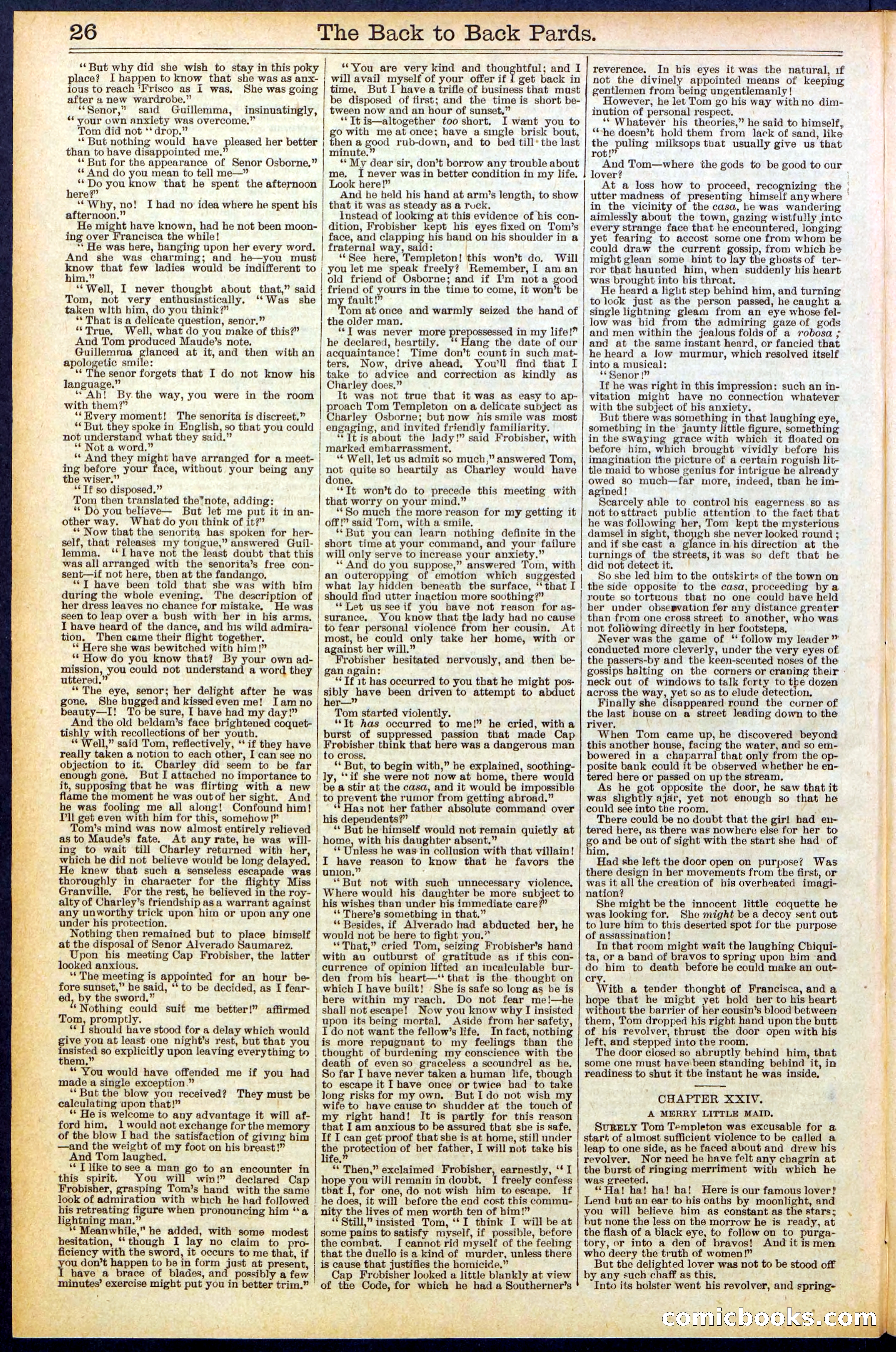 Beadle's New York Dime Library No. 544 — page 26 of 32