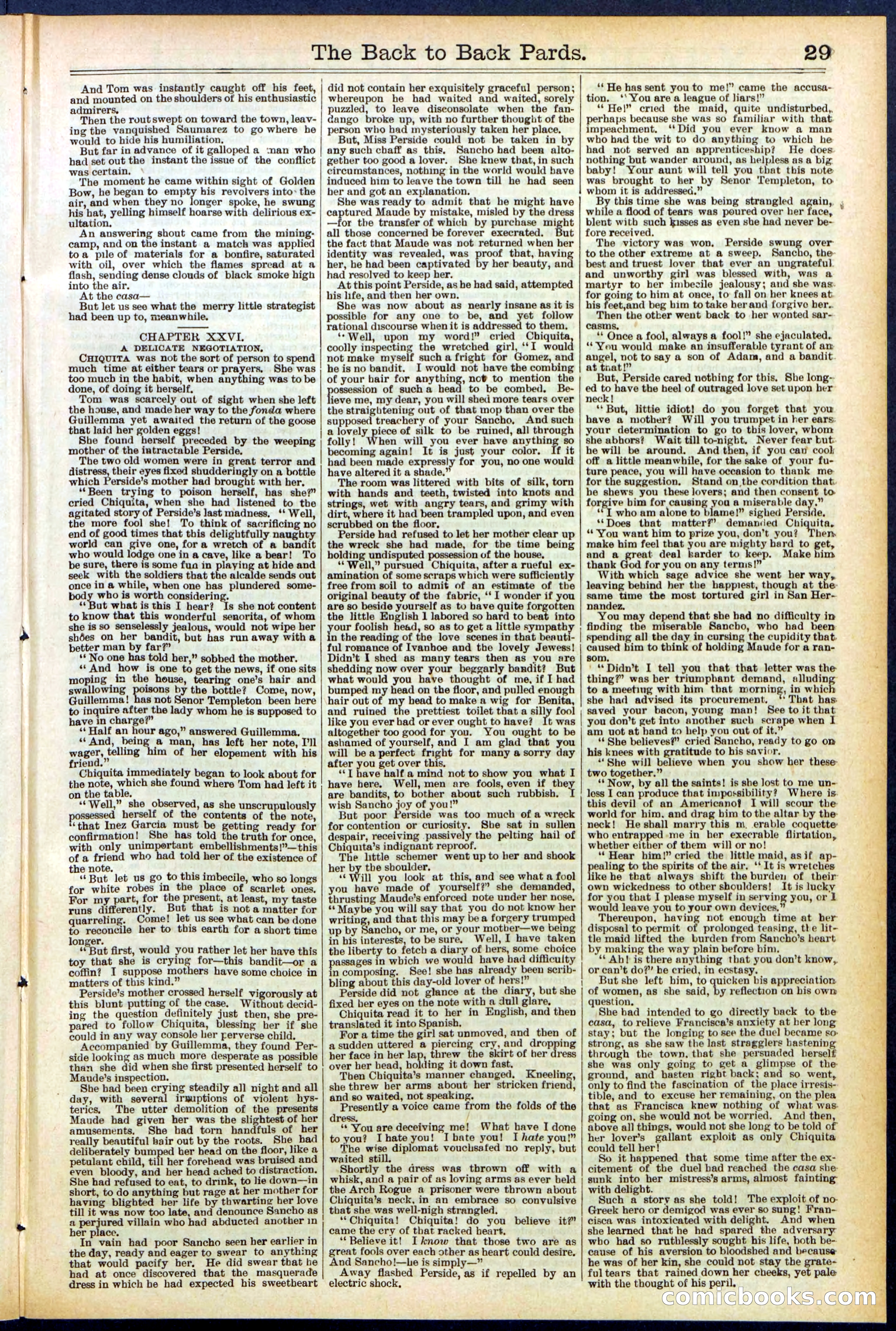 Beadle's New York Dime Library No. 544 — page 29 of 32