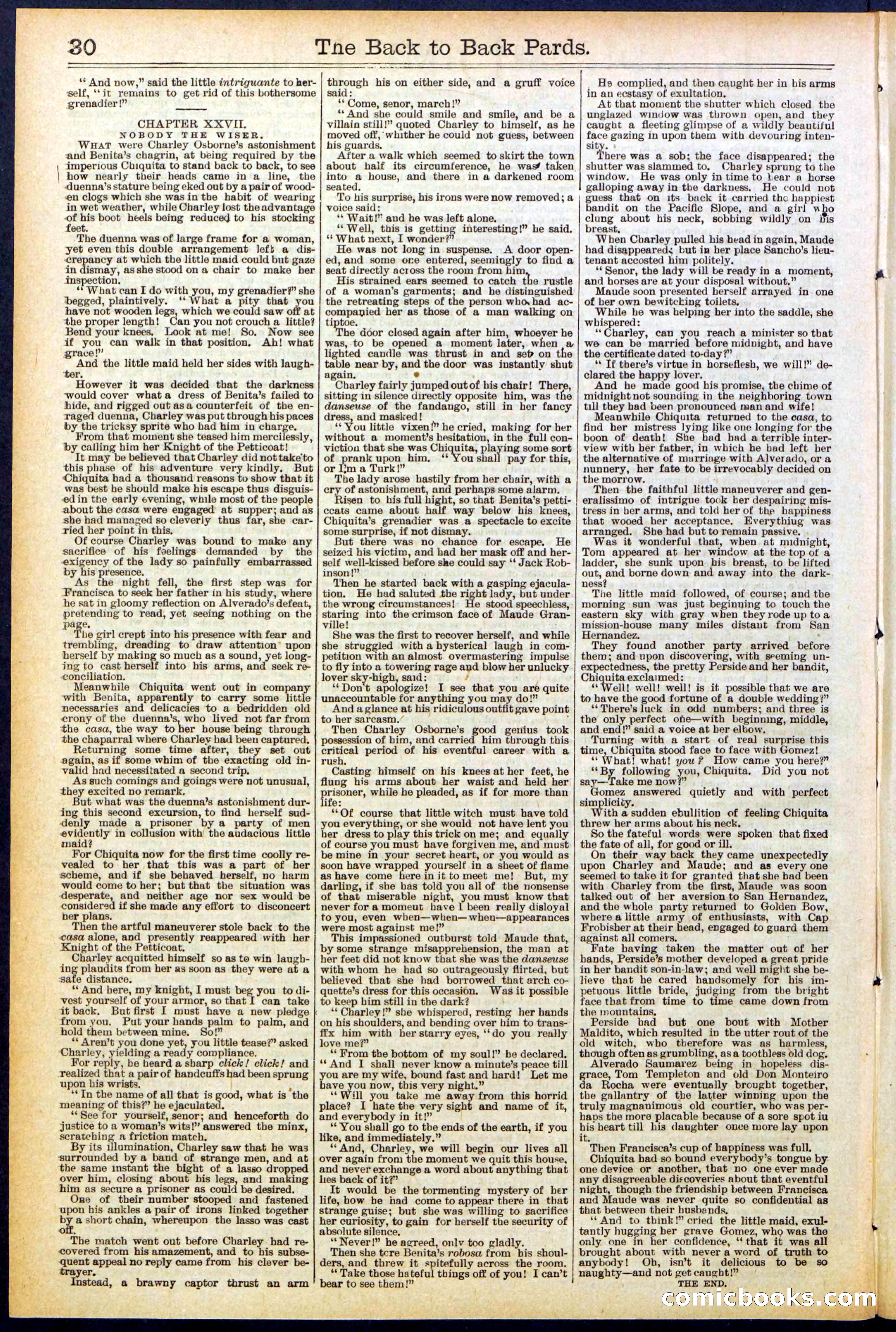 Beadle's New York Dime Library No. 544 — page 30 of 32